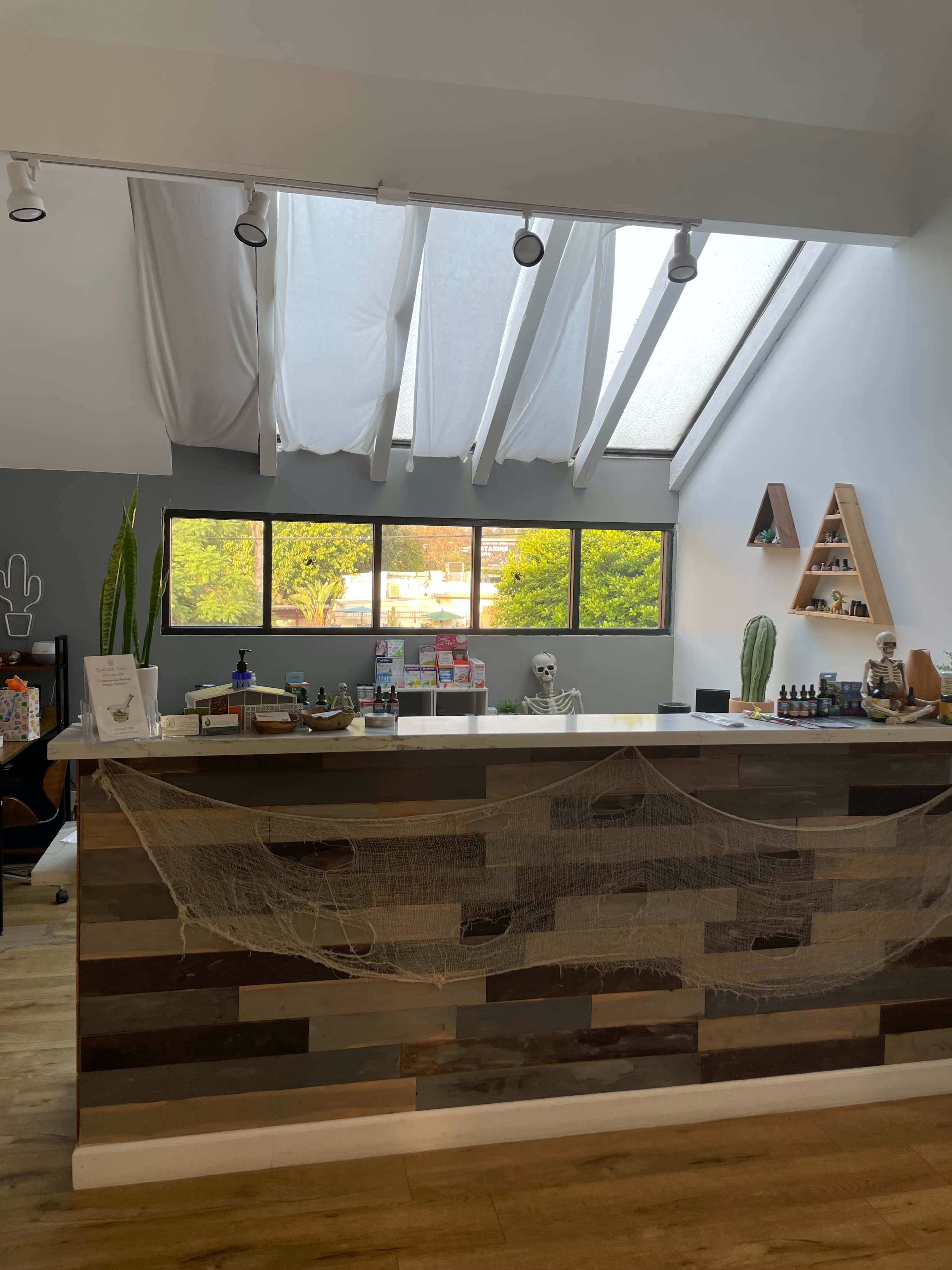 A reception area features a gray wall, large windows, and a wooden counter with decorations, including a skeleton and plants.