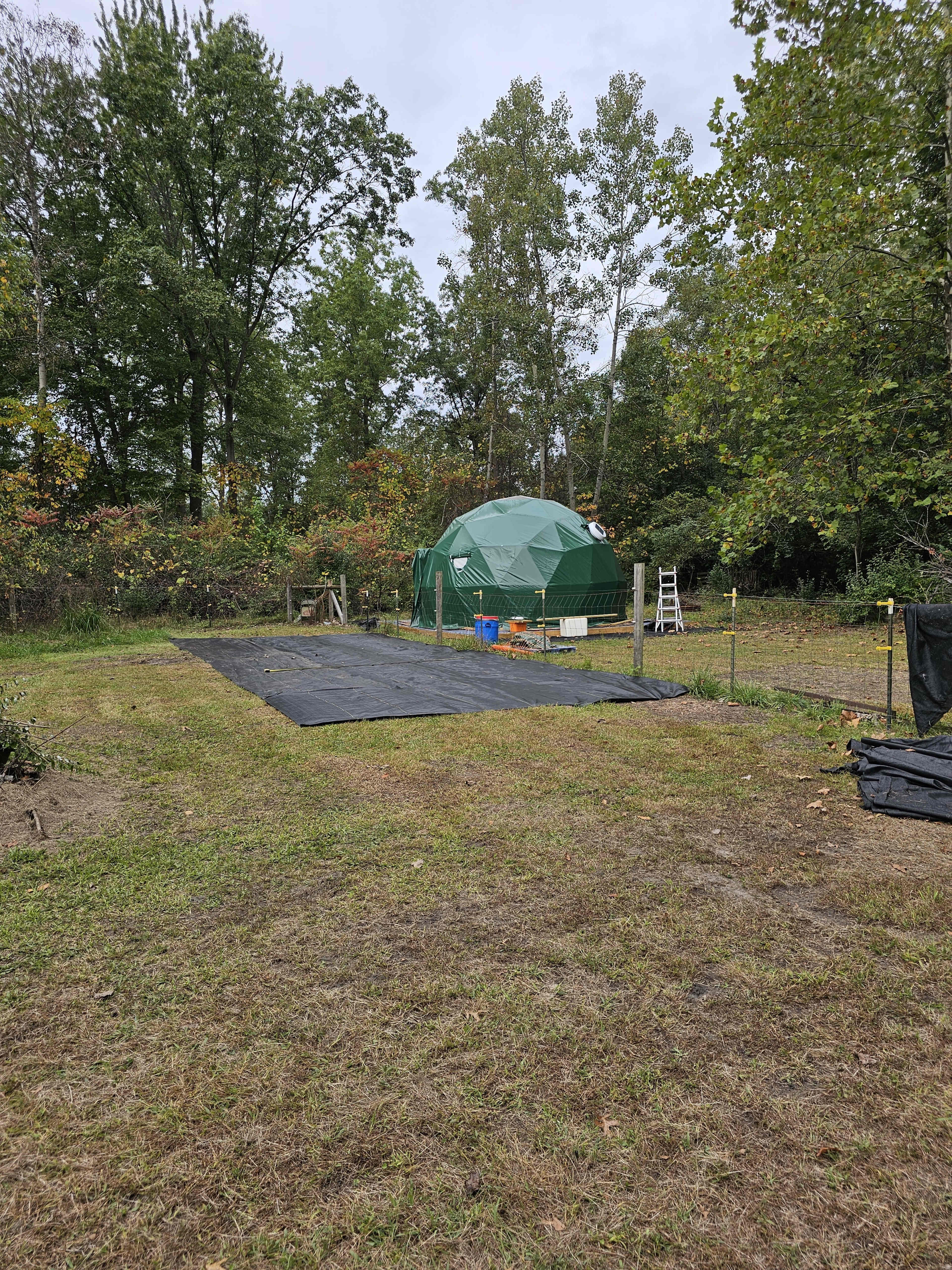 The Oasis Forest Image in Augusta Township, Willis, MI