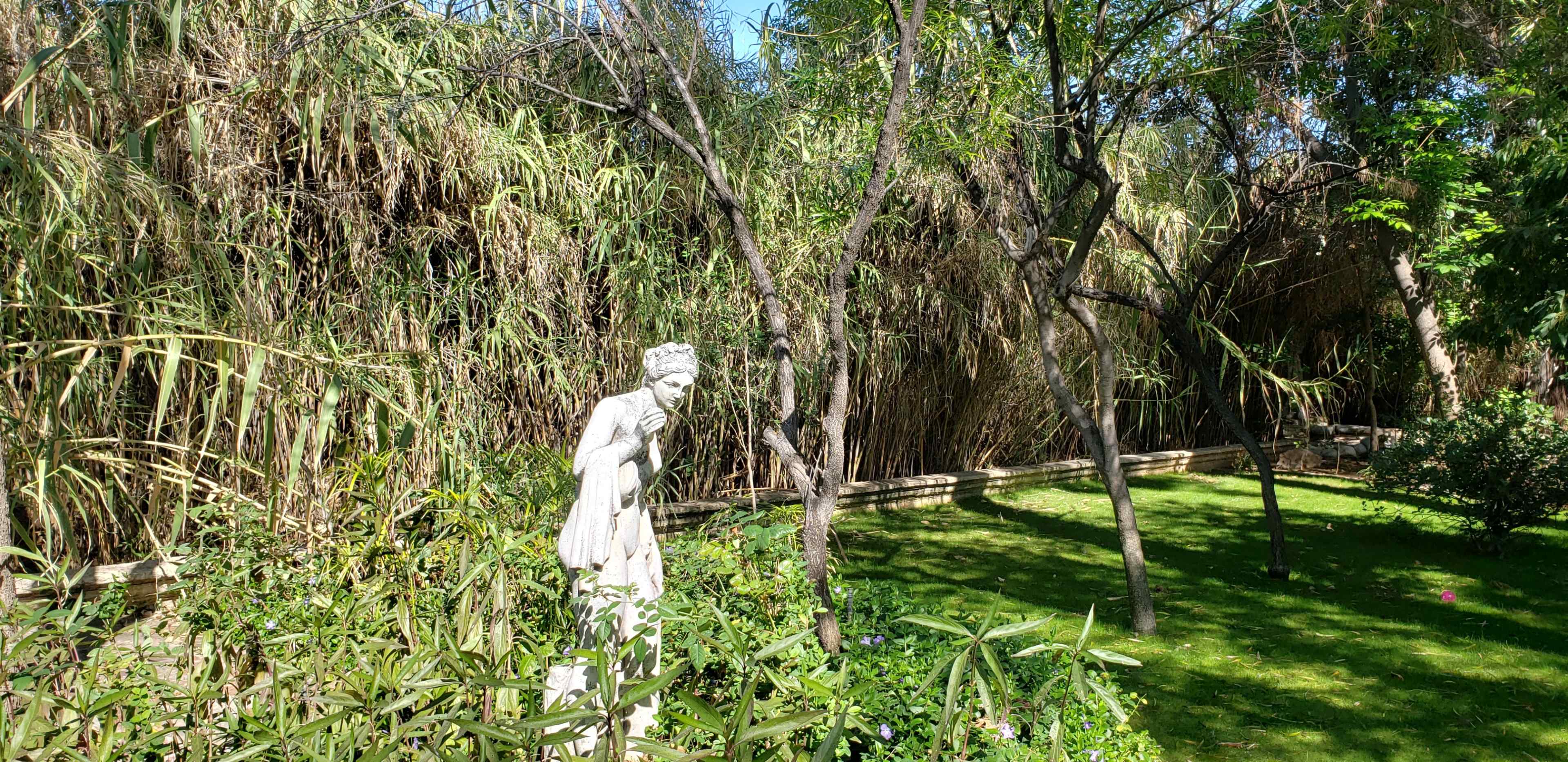A white statue stands amidst tall grass and trees in a green garden.