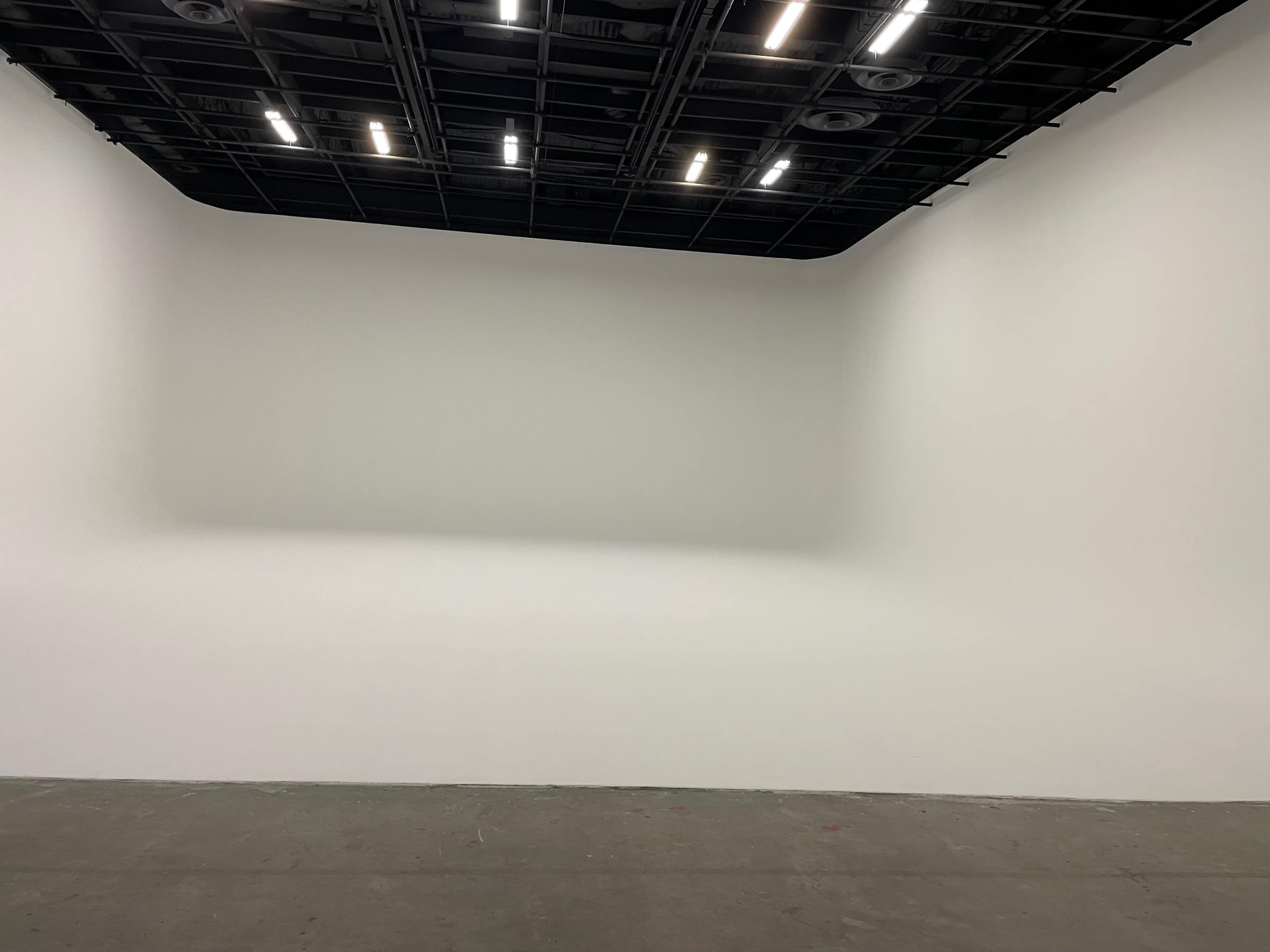 The image shows a spacious, empty gallery room with a smooth white wall and a black ceiling featuring overhead lights.