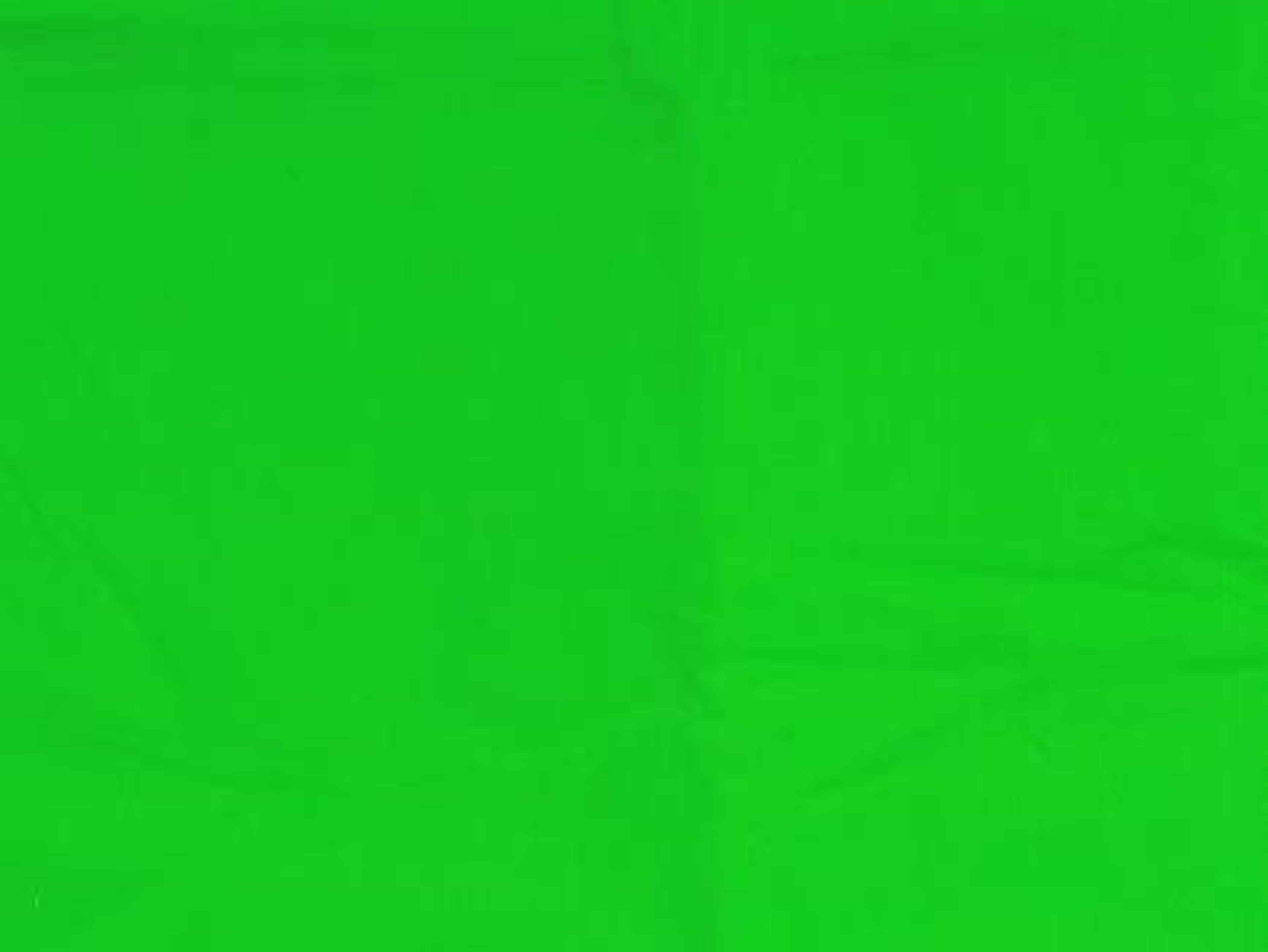 Giant GREEN SCREEN for photography and productions