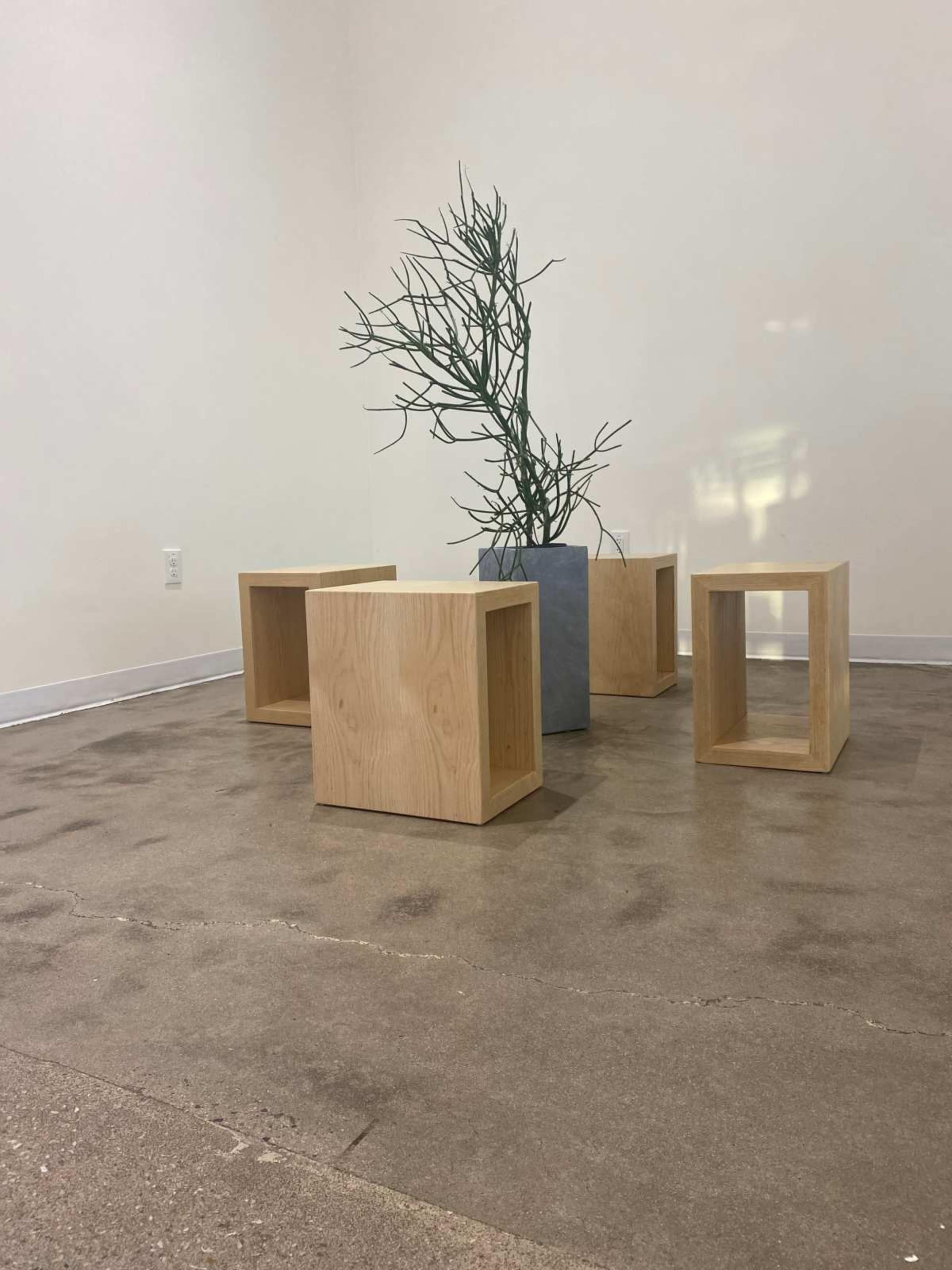 The image shows four wooden cubes arranged around a tall, rectangular vase with a sparse, leafless plant in a minimalist indoor space.