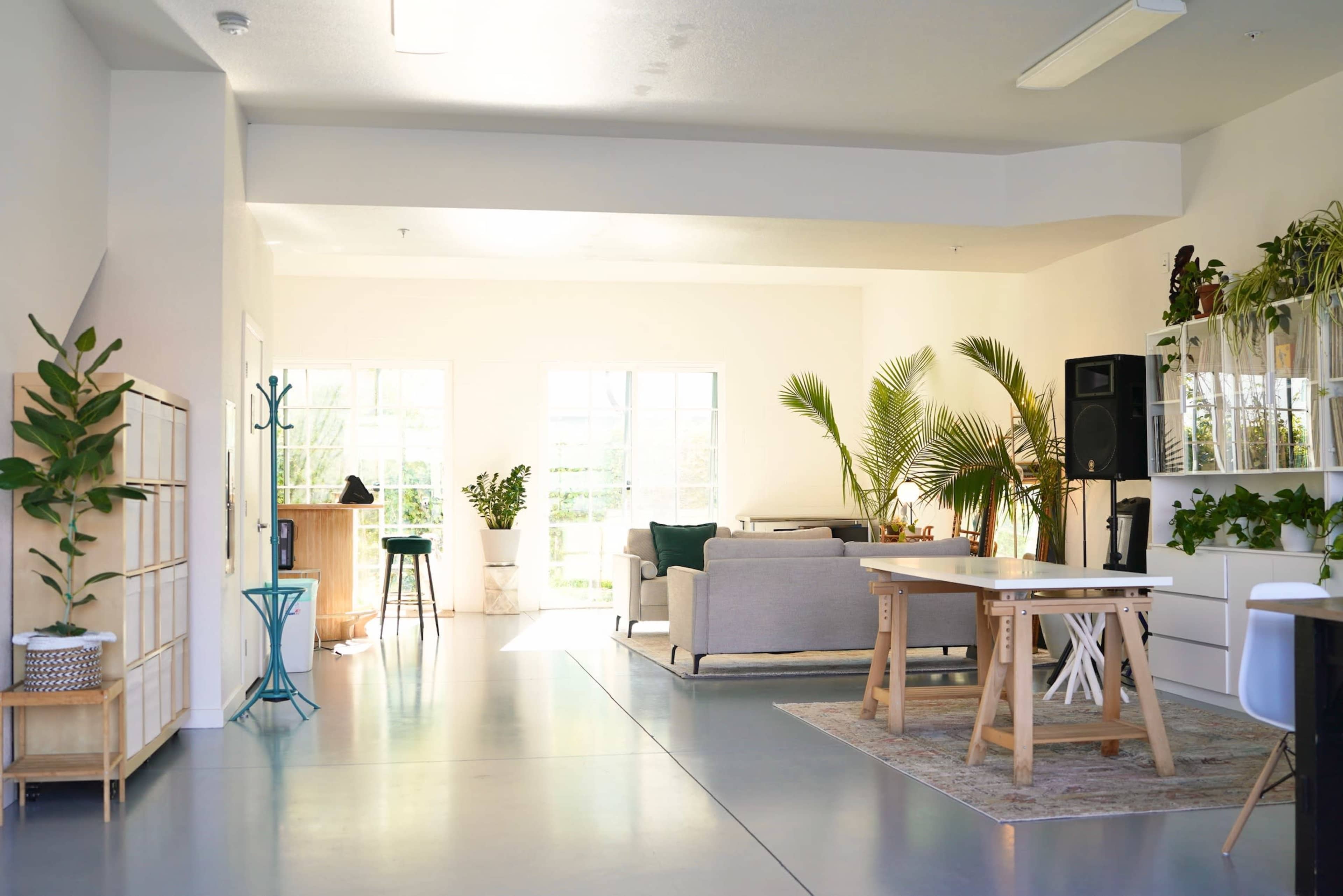 A spacious room with modern furniture, large windows allowing natural light, and various indoor plants.