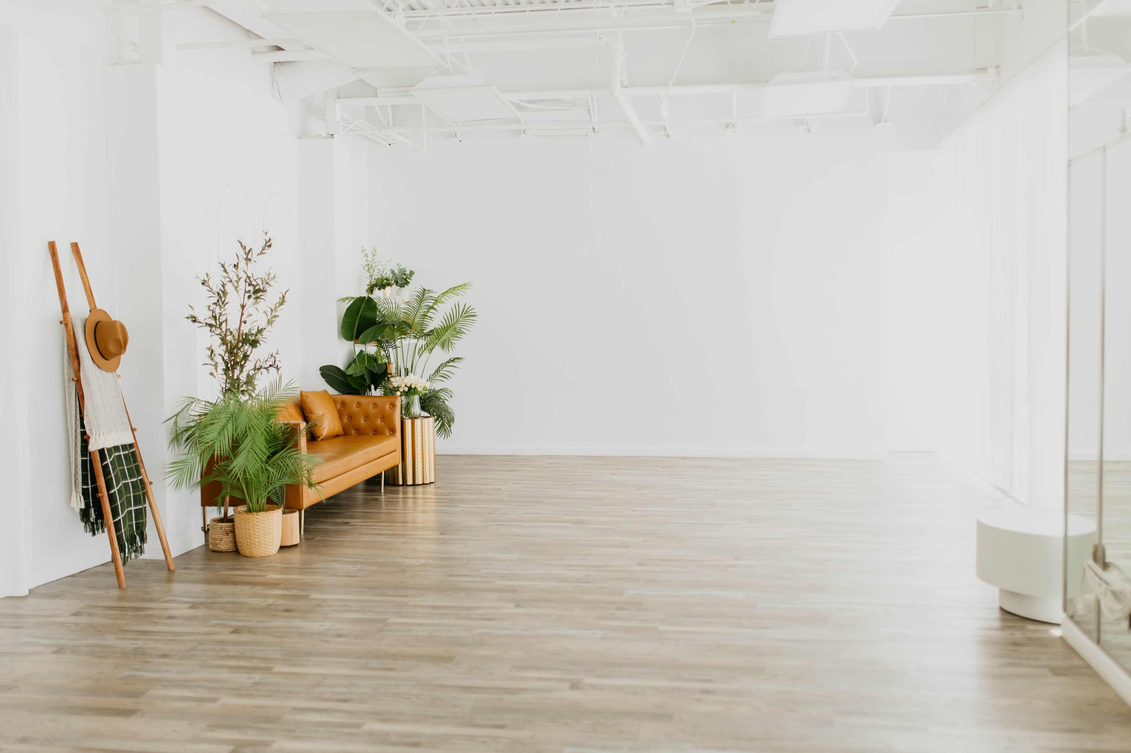 The image shows a spacious, well-lit room with a brown leather couch, potted plants, and wooden flooring.
