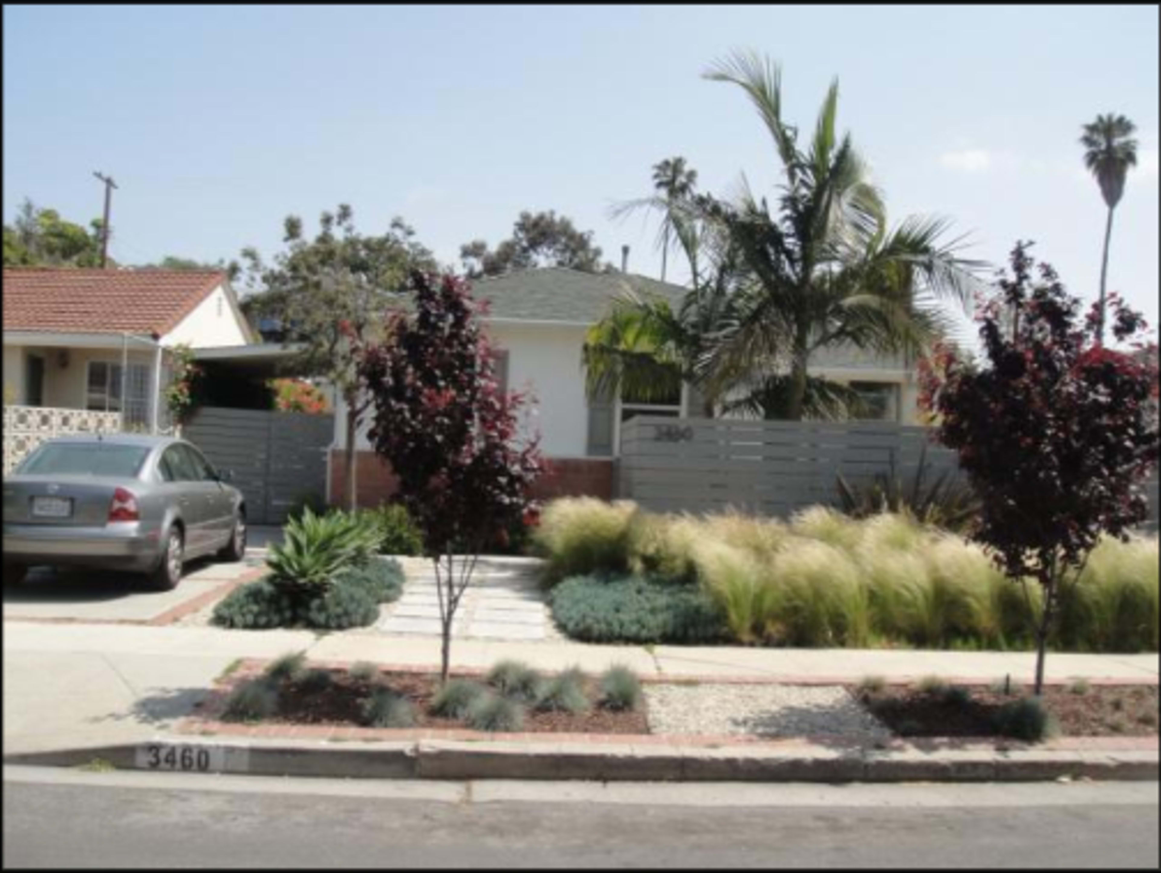 A single-story house surrounded by landscaped greenery and palm trees, with a driveway and two ornamental trees in front.