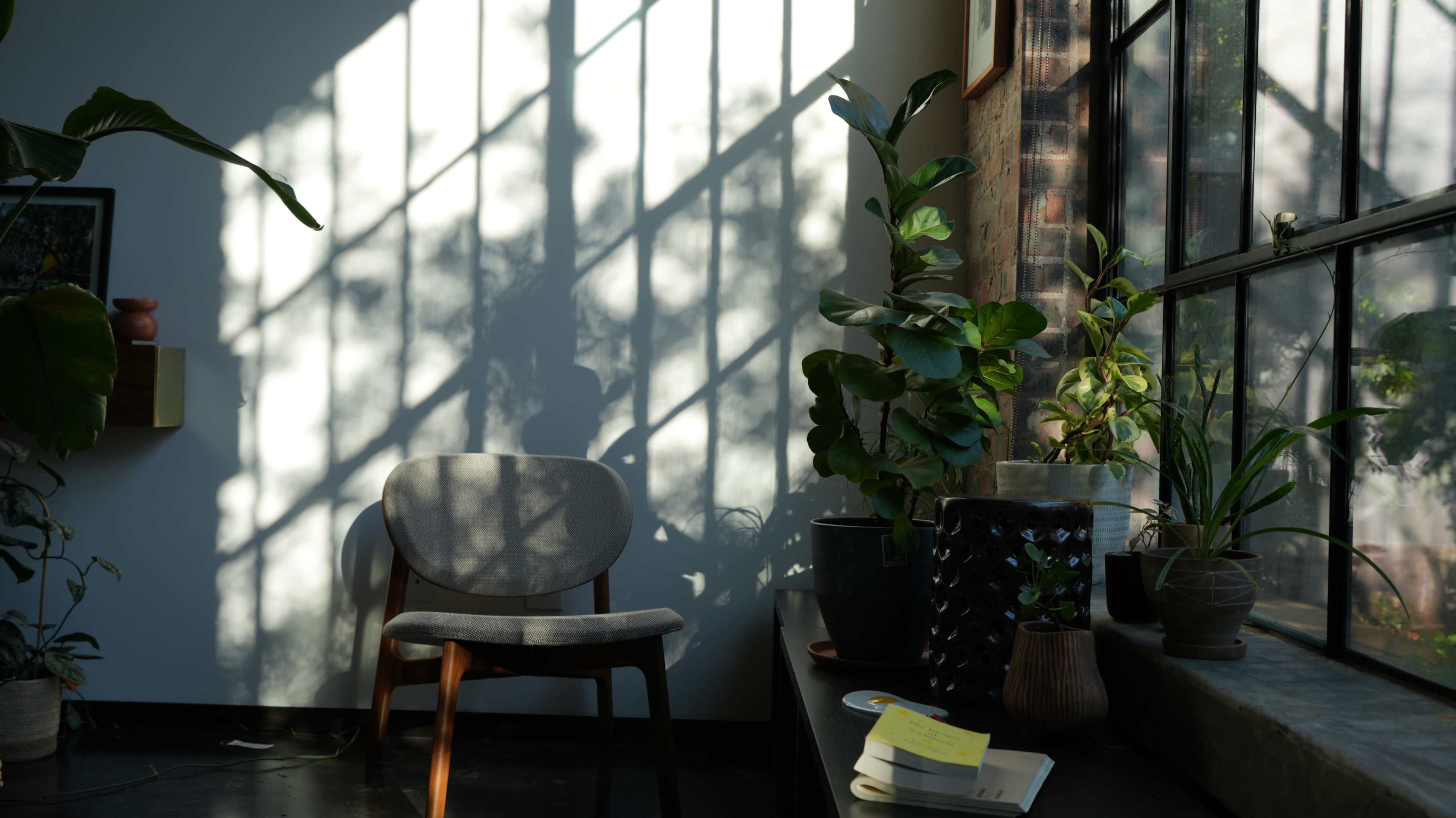 A chair sits next to a window with sunlight casting shadows from plants onto the wall.