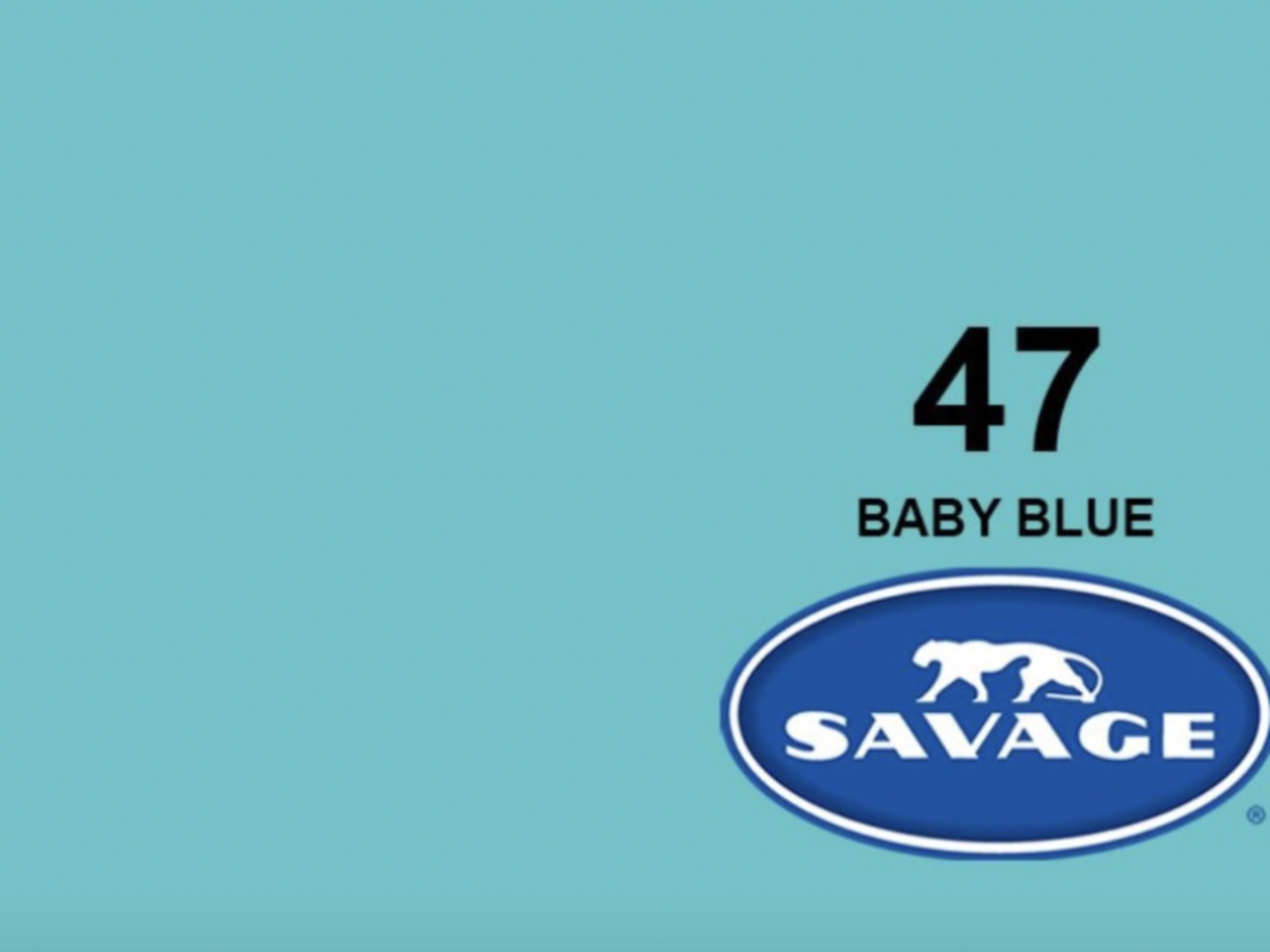 Seamless Paper ( Full Sweep ) - Baby Blue