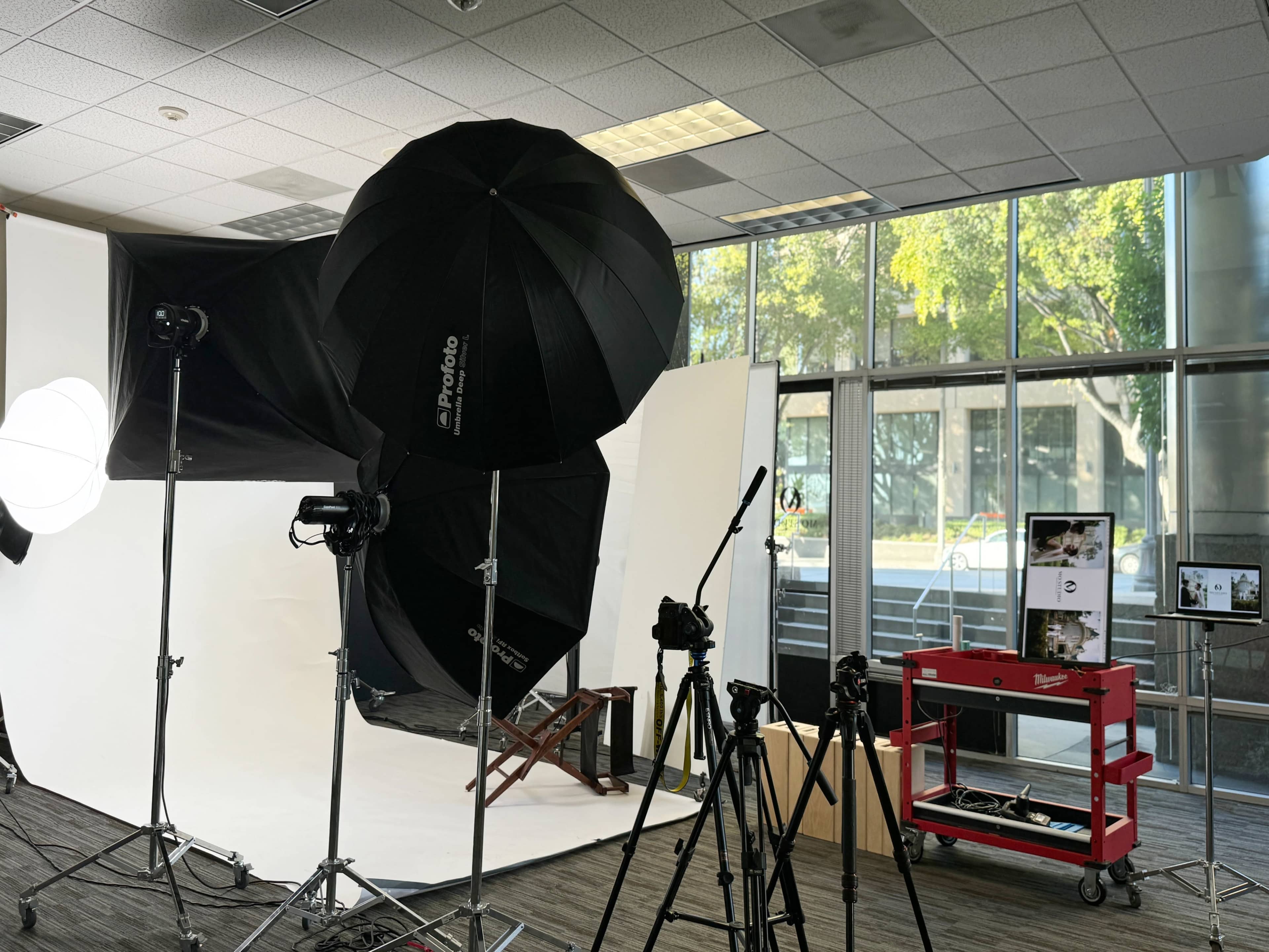 A photography studio setup features softbox lights, tripods, and a red cart with equipment, all positioned in front of a large window with visible greenery outside.