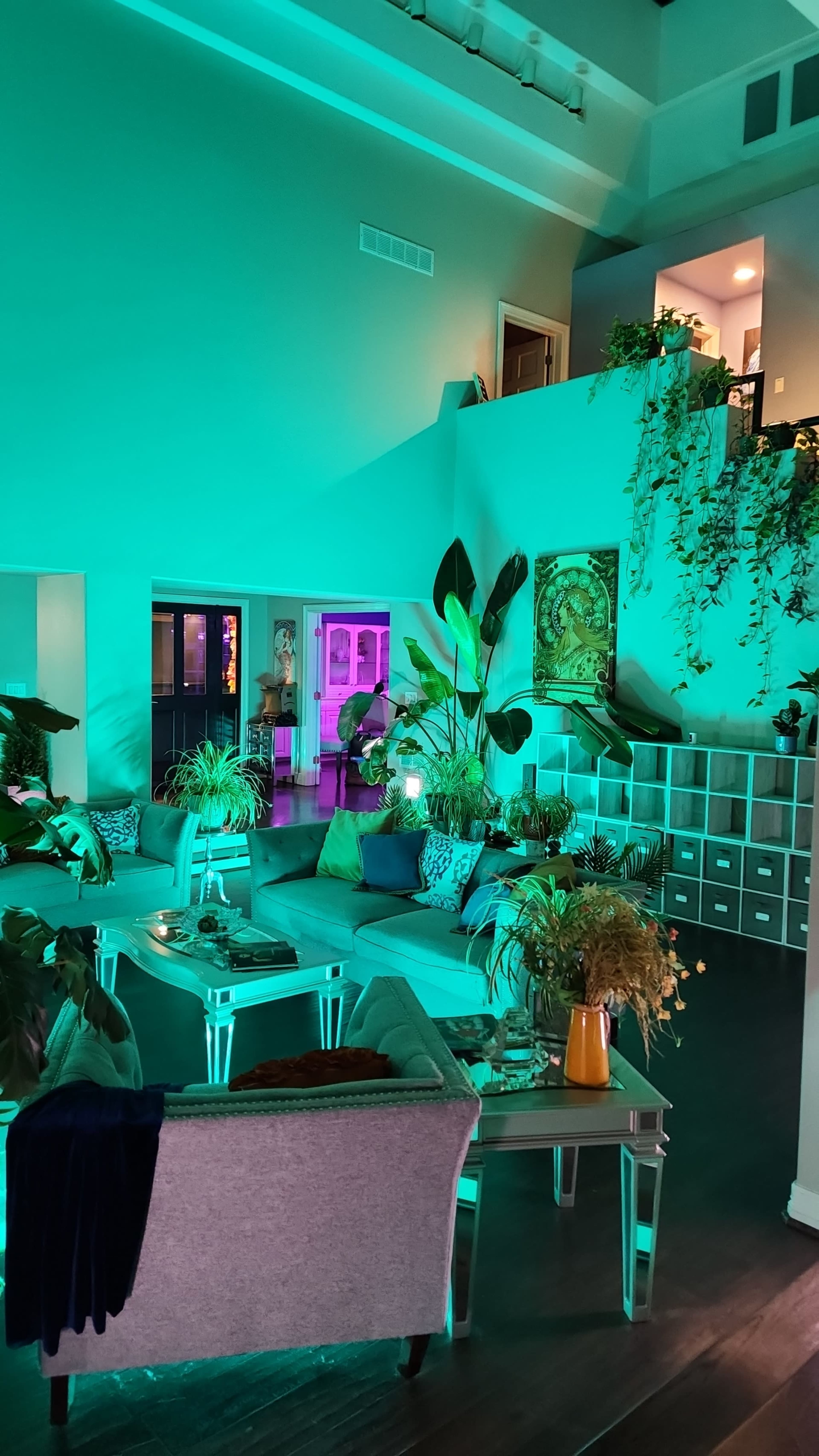 A spacious living area features contemporary furniture, vibrant plants, and multidimensional lighting that creates an inviting atmosphere.