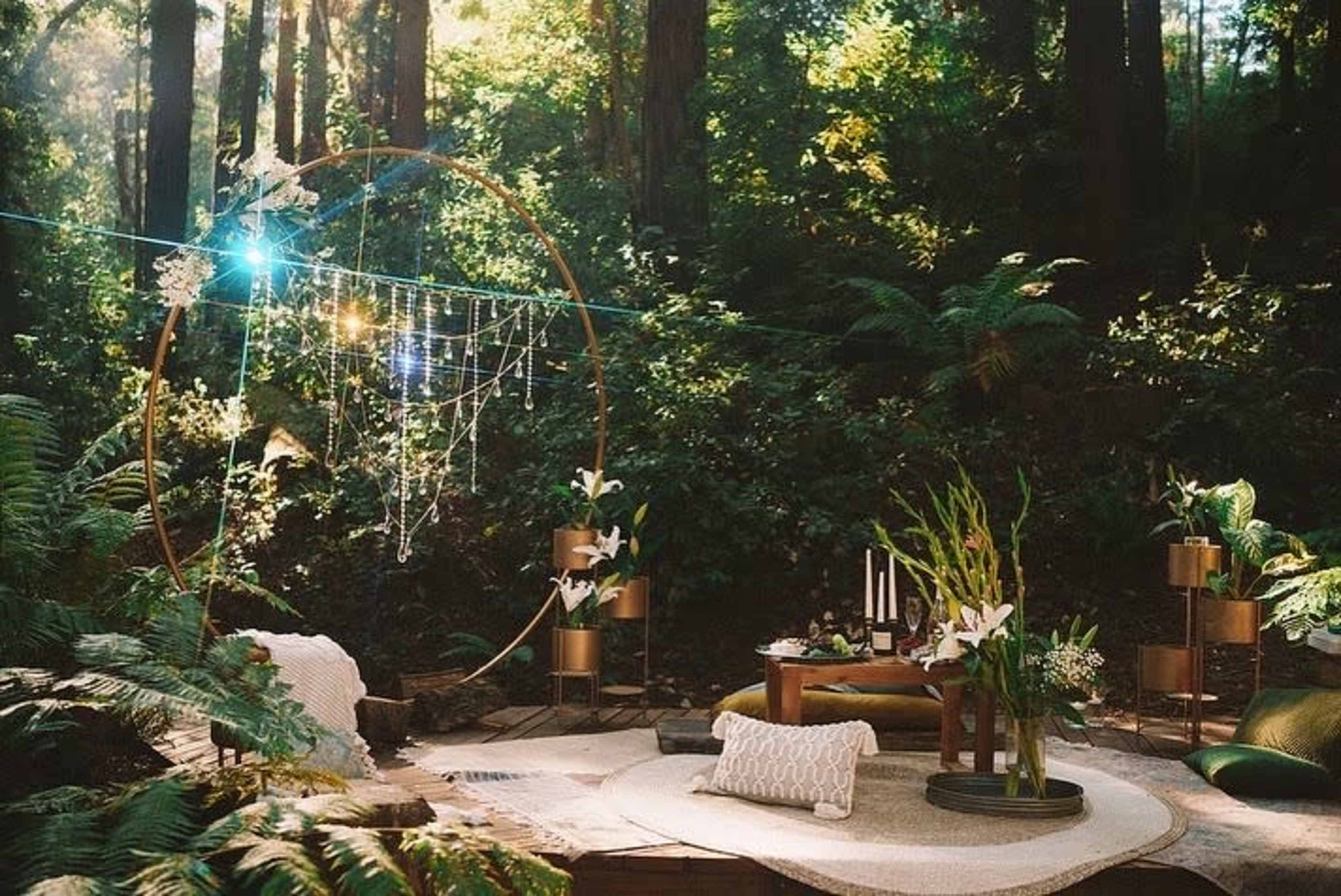 Redwood Radiance: Outdoor & Lifestyle Photoshoot Venue Image in Day Valley, Aptos, CA