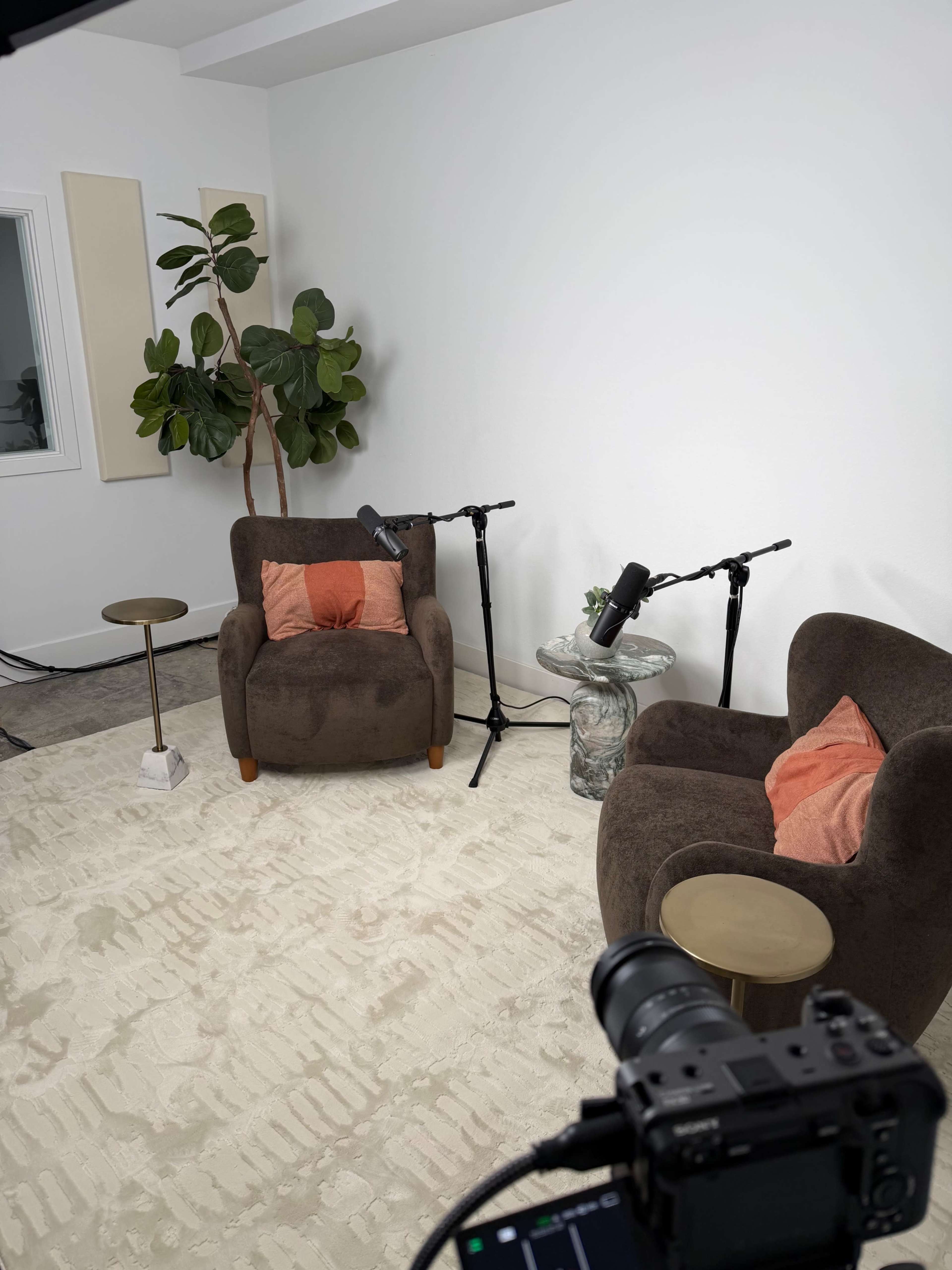 The image shows a well-lit studio setup with two brown chairs, a small table beside each chair, and two microphones on stands arranged in front of a potted plant.