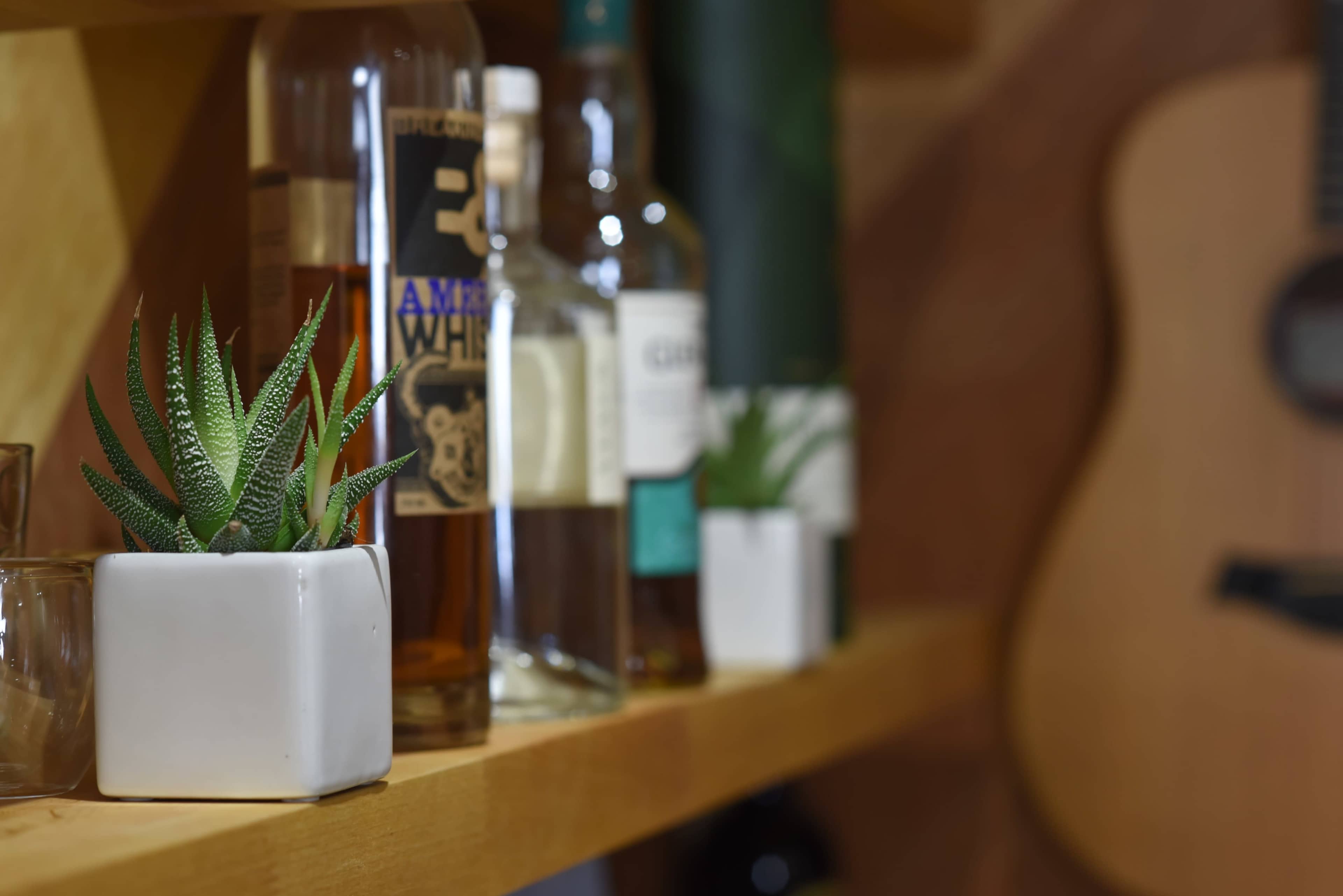 A wooden shelf holds several bottles of liquor alongside small potted succulents.