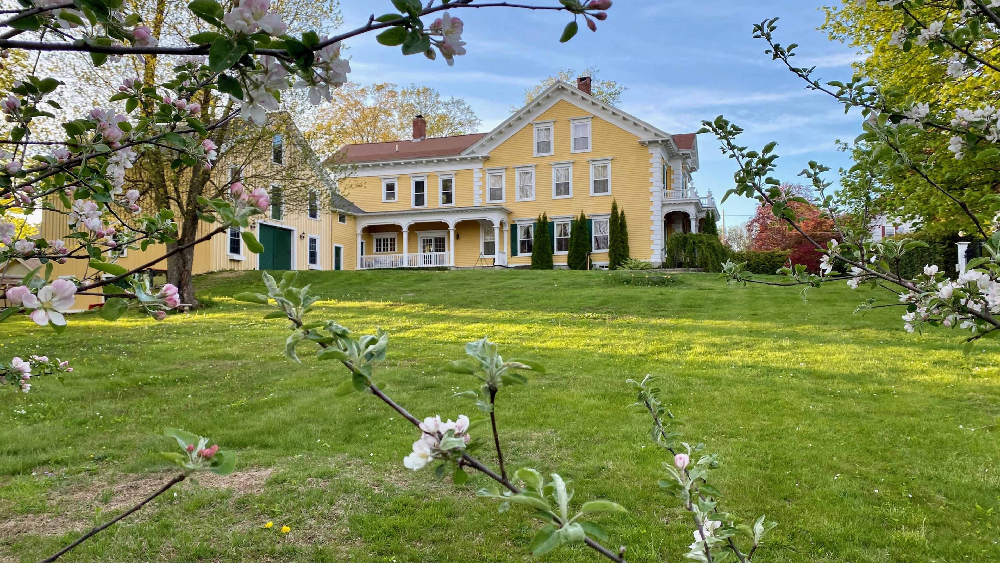 A large yellow house with a wraparound porch is surrounded by a grassy lawn and blossoming trees.