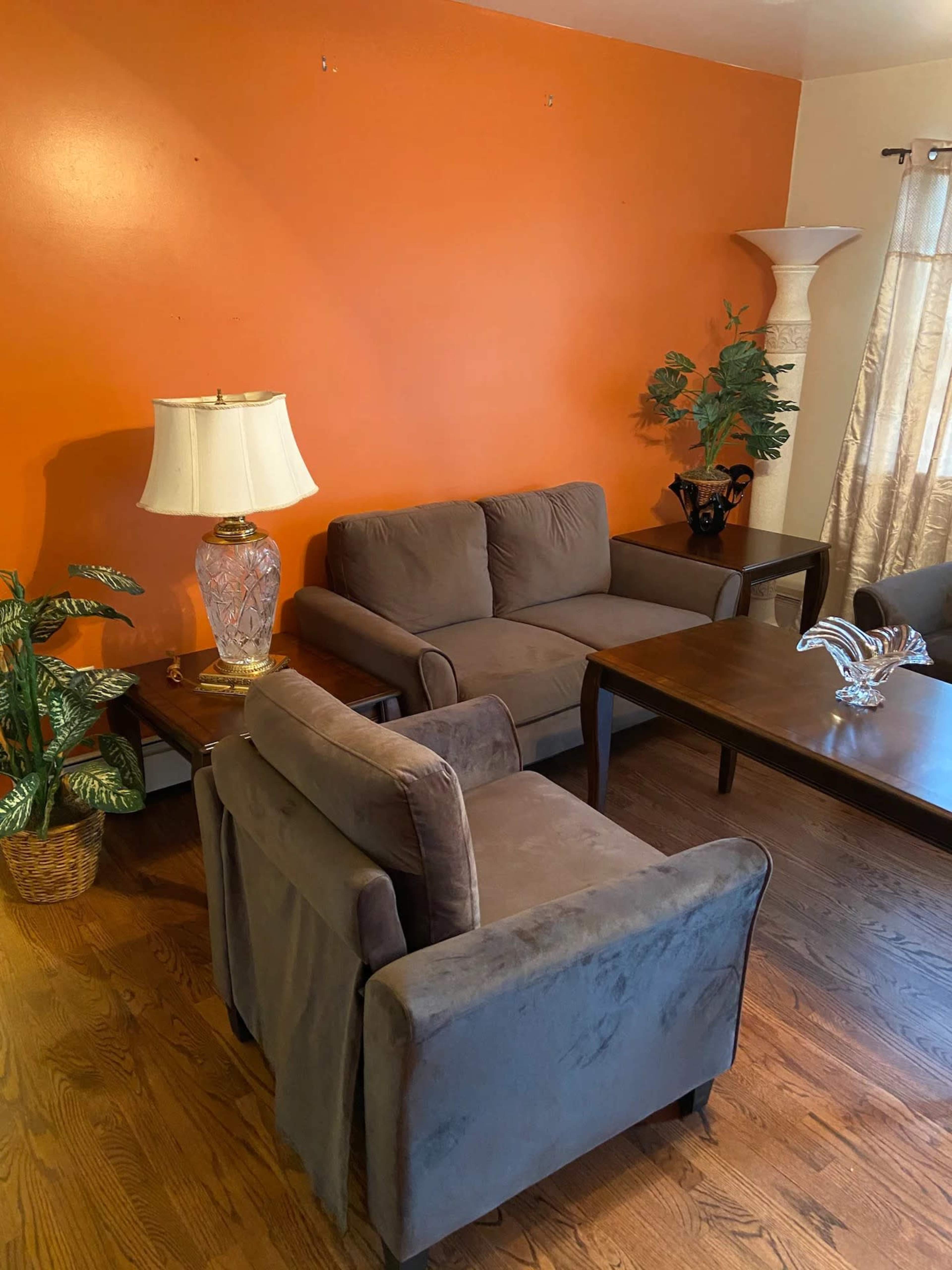 A living room with an orange accent wall, two gray couches, a wooden table, a lamp, and houseplants.