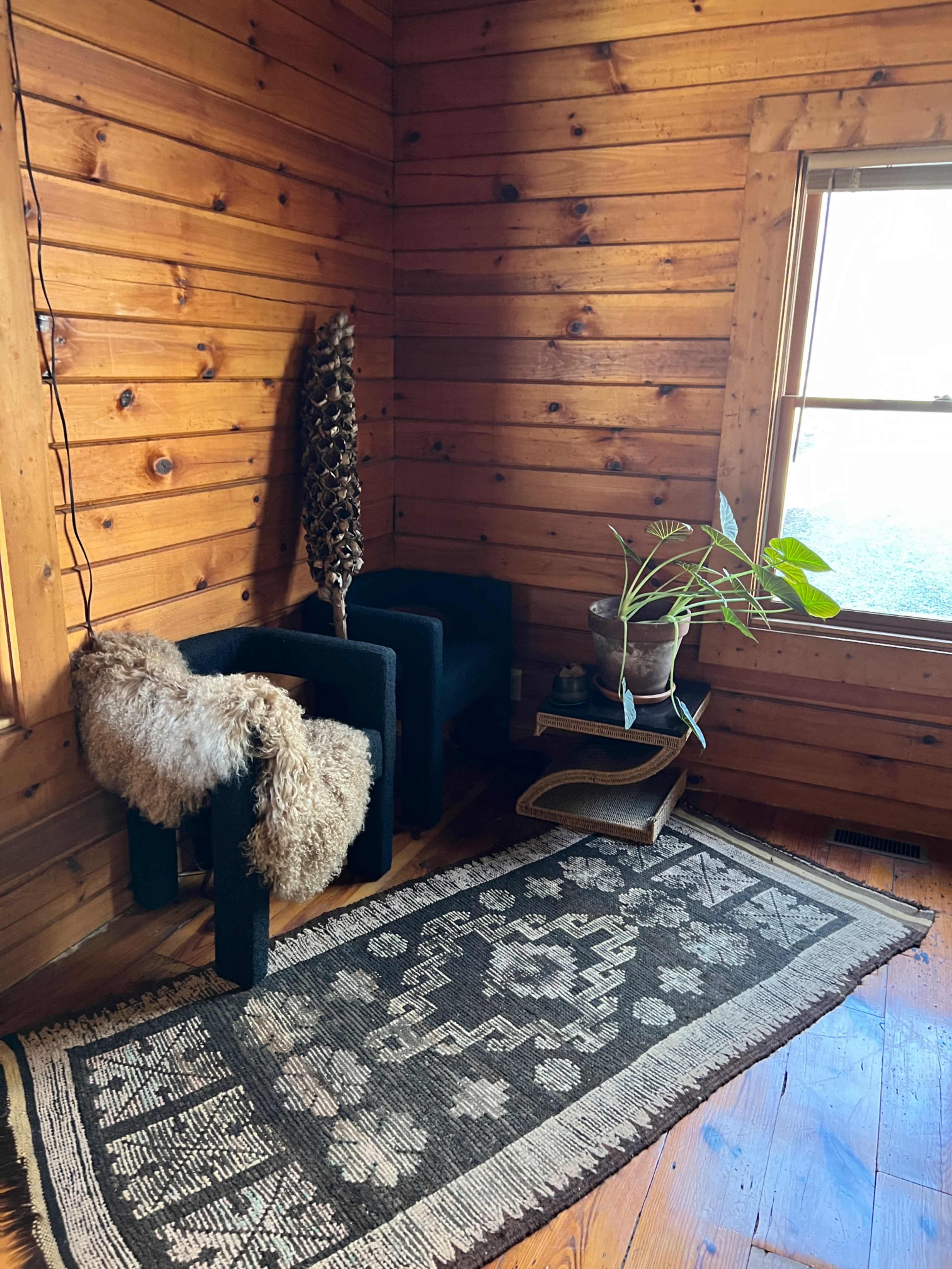 The image shows a cozy corner of a room with wooden walls, featuring two black chairs, a decorative plant, and a patterned area rug.