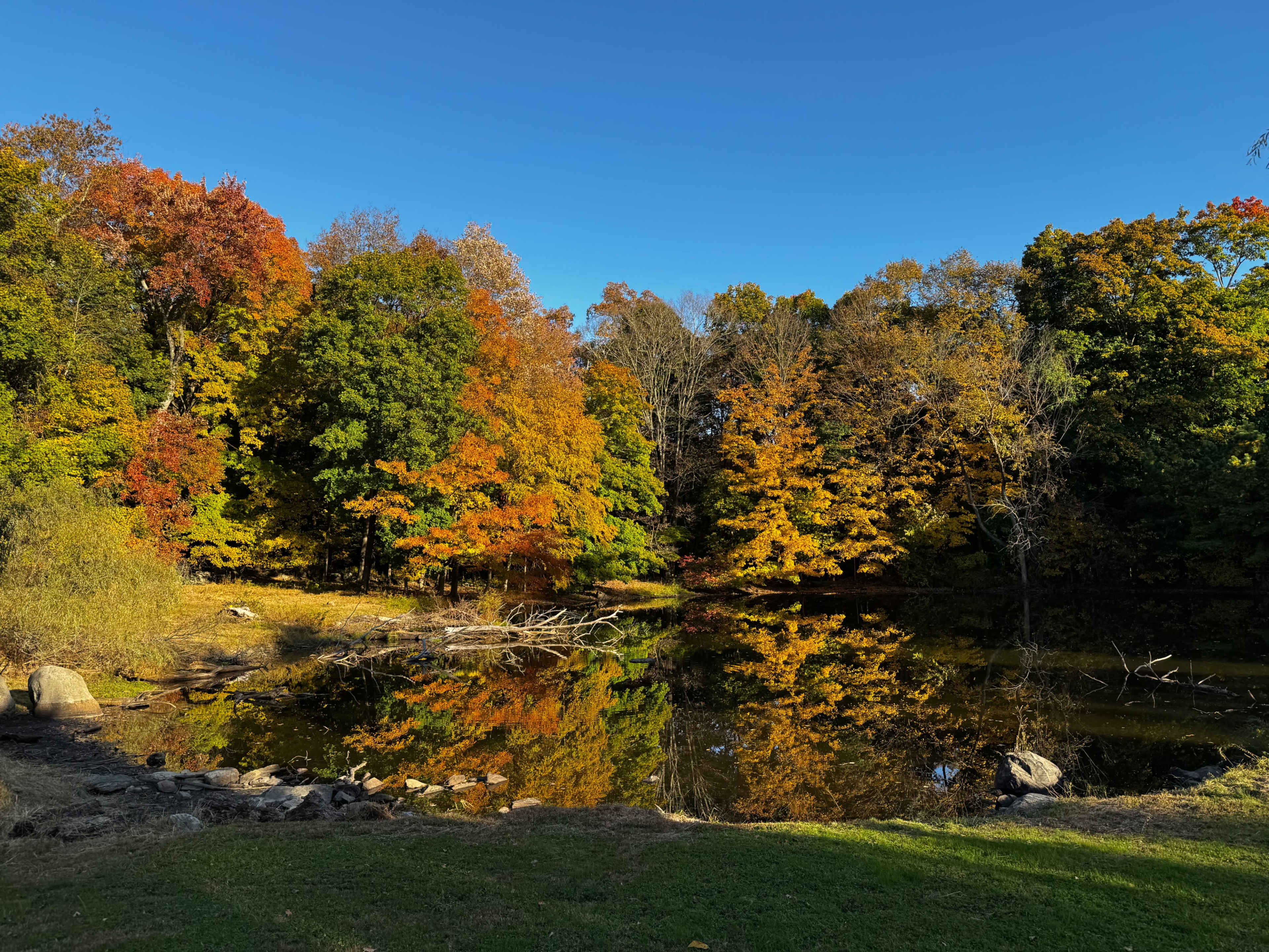 Expansive Westchester Backyard With Scenic Woods Trees And Pond Image in New Castle, Chappaqua, NY