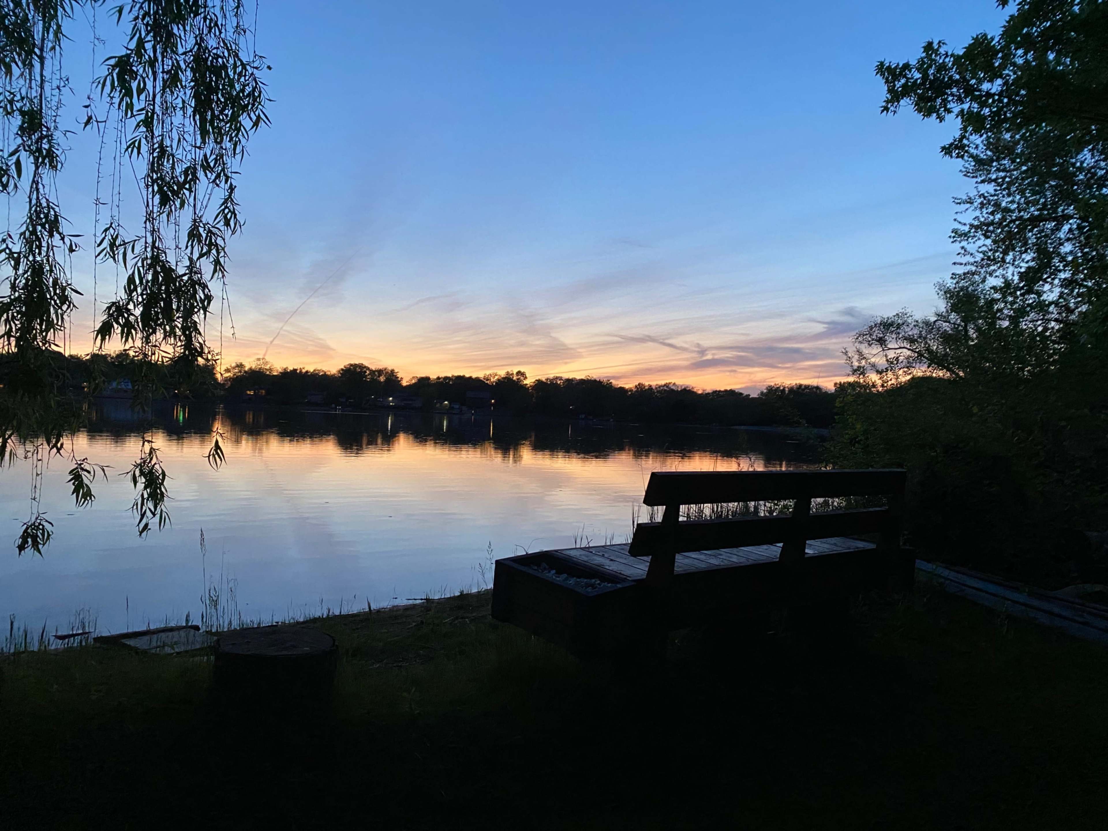 A wooden bench overlooks a still lake at sunset, framed by trees and a clear sky.