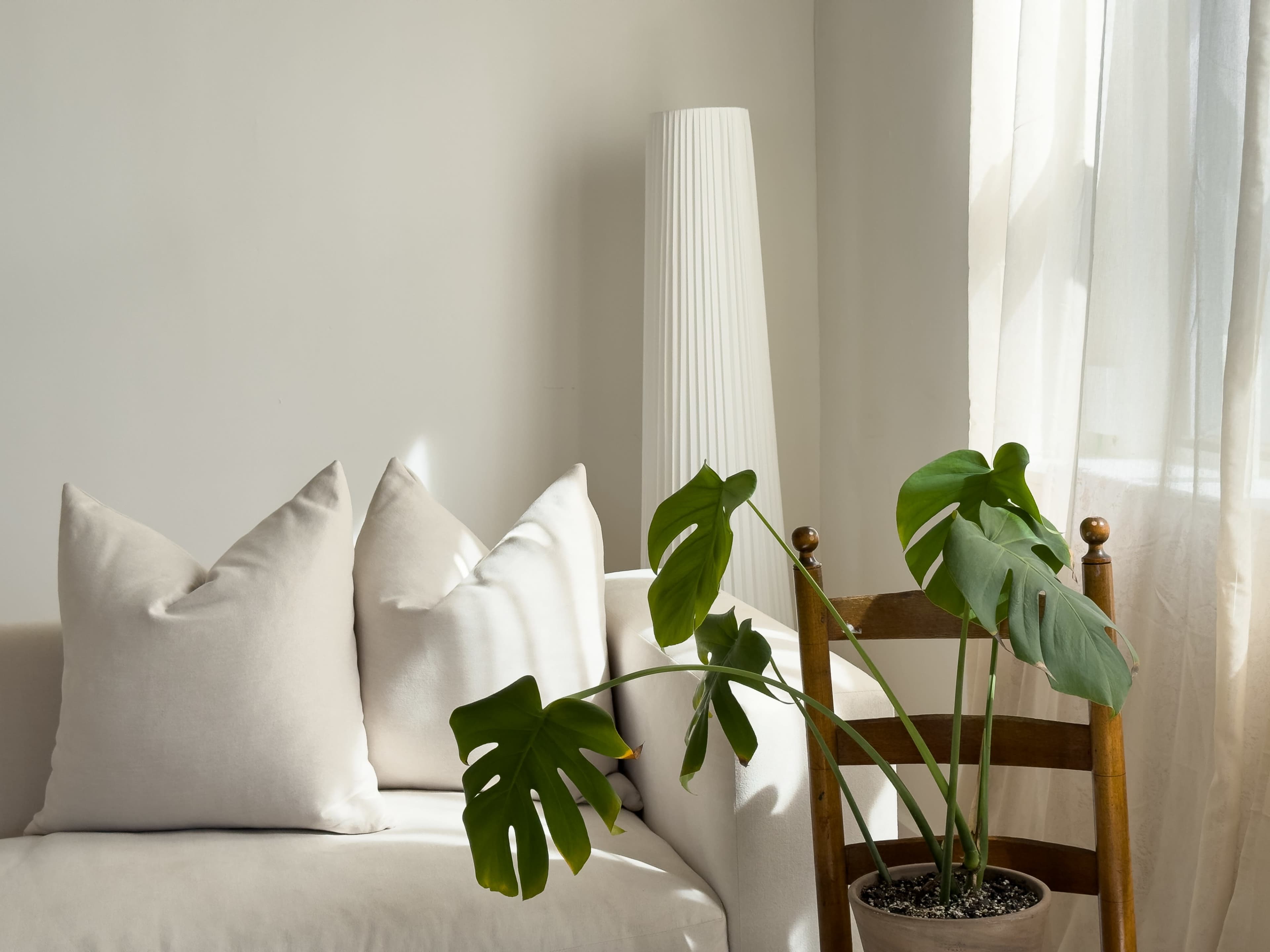 Aesthetic Creative Loft Photo Studio Image in North Ironbound, Newark NJ, NJ