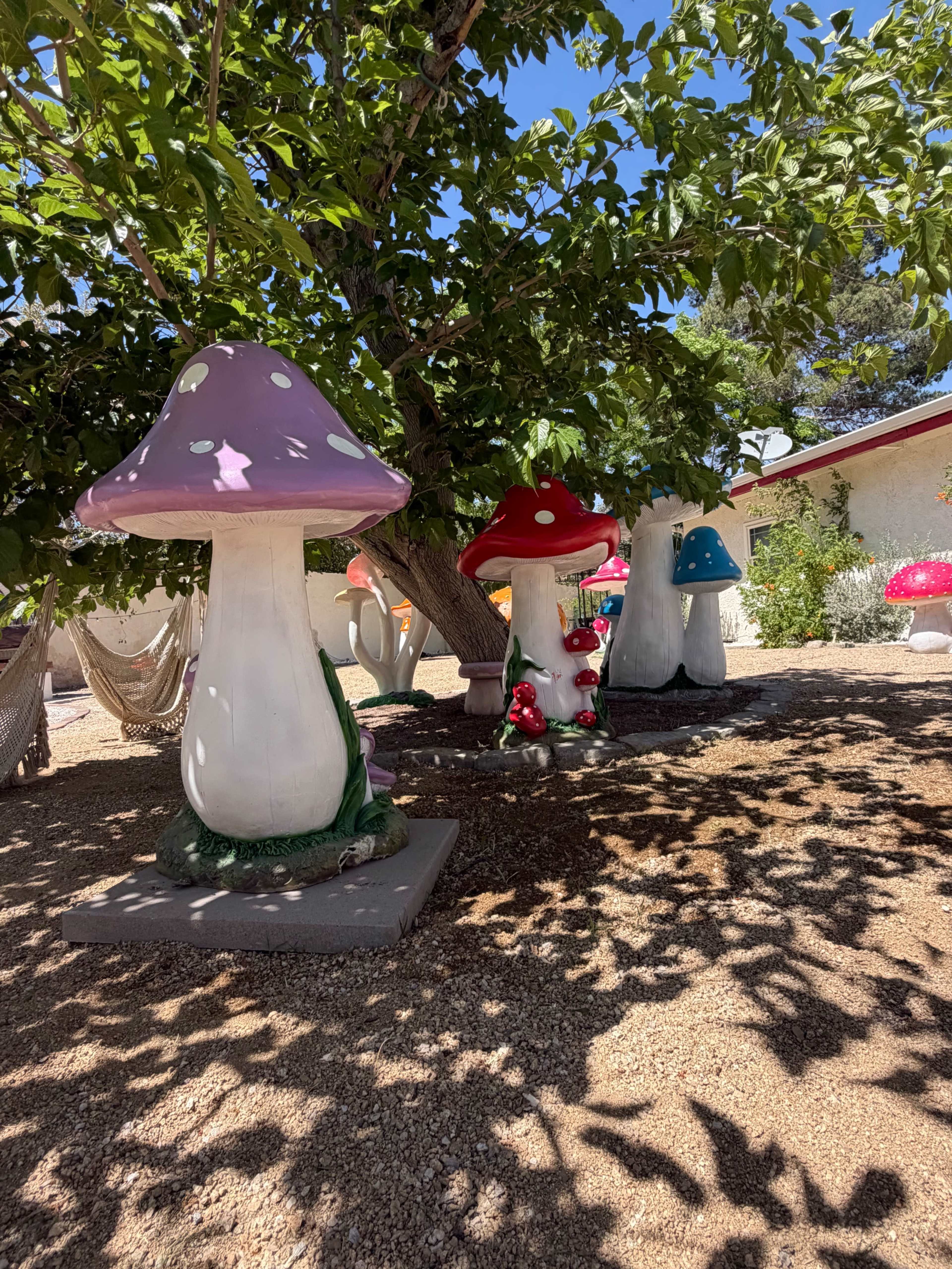 Mushroom Fairy Garden PhotoShoot Outdoor Area Image in The Section 10, Las Vegas, NV
