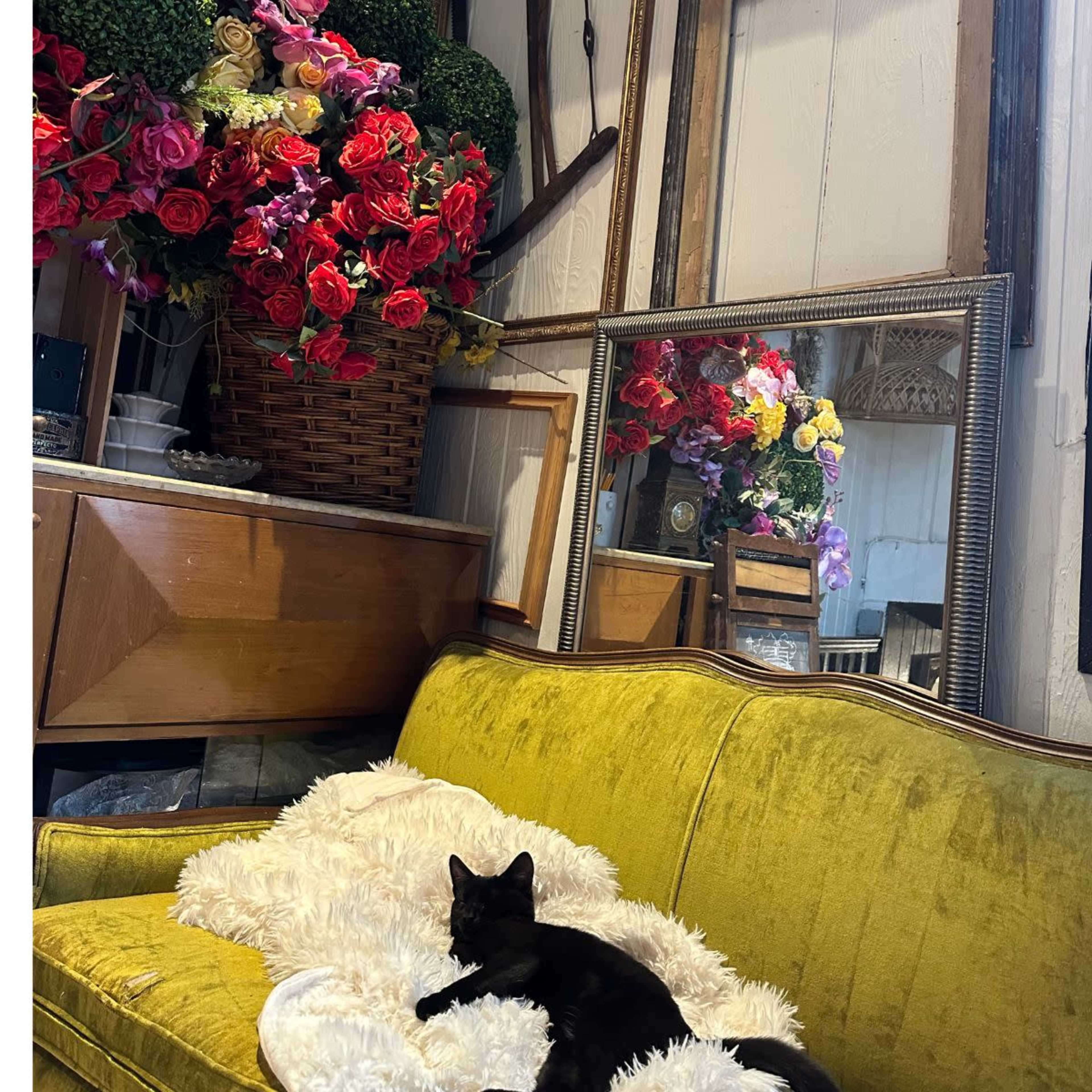 Flower Shop & Secret Content Creation Photo Studio with Piano, Antique Claw Foot Tub, Chandeliers and more. Image in Dumont, Dumont, NJ
