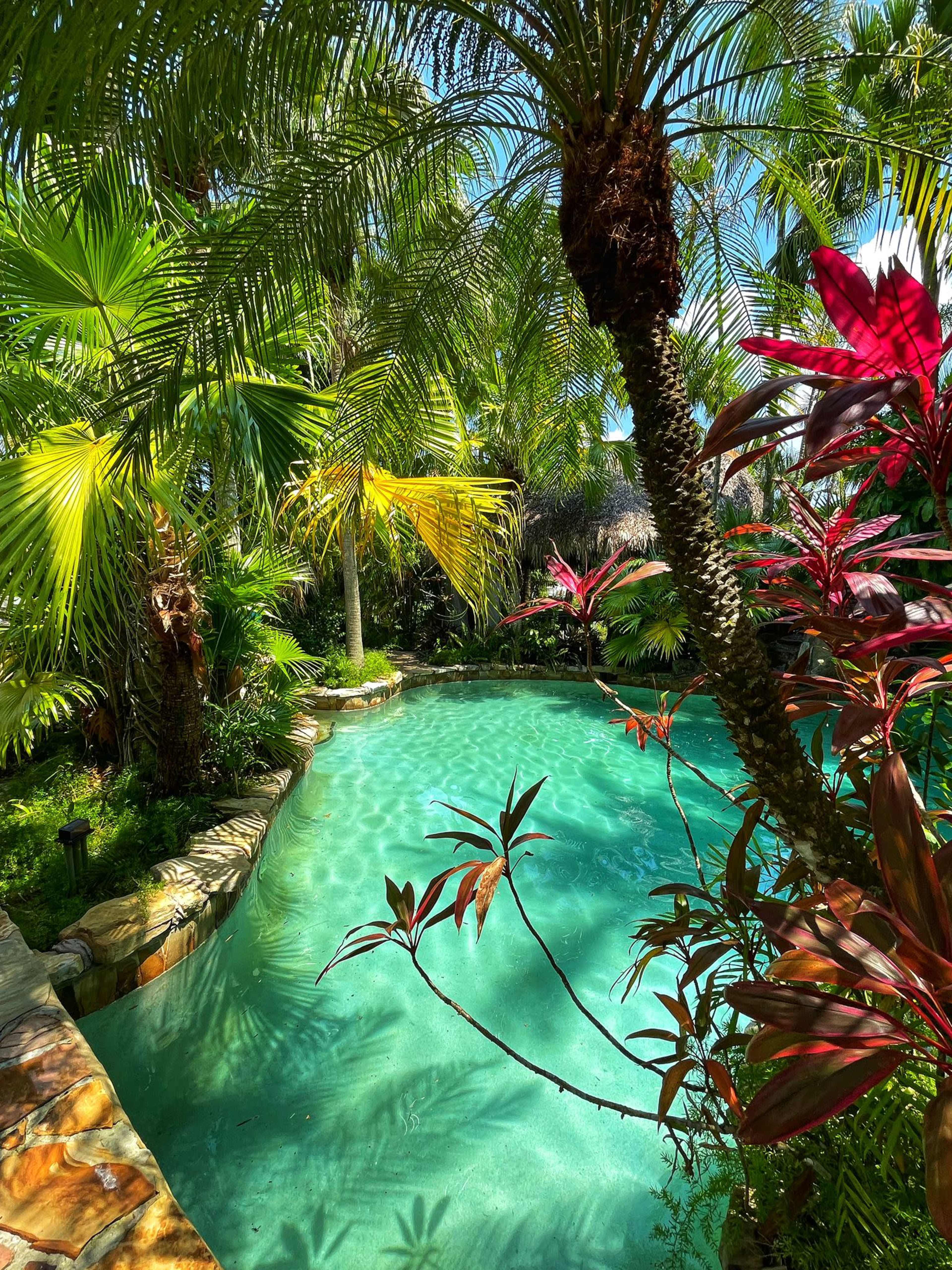 Secret Oasis