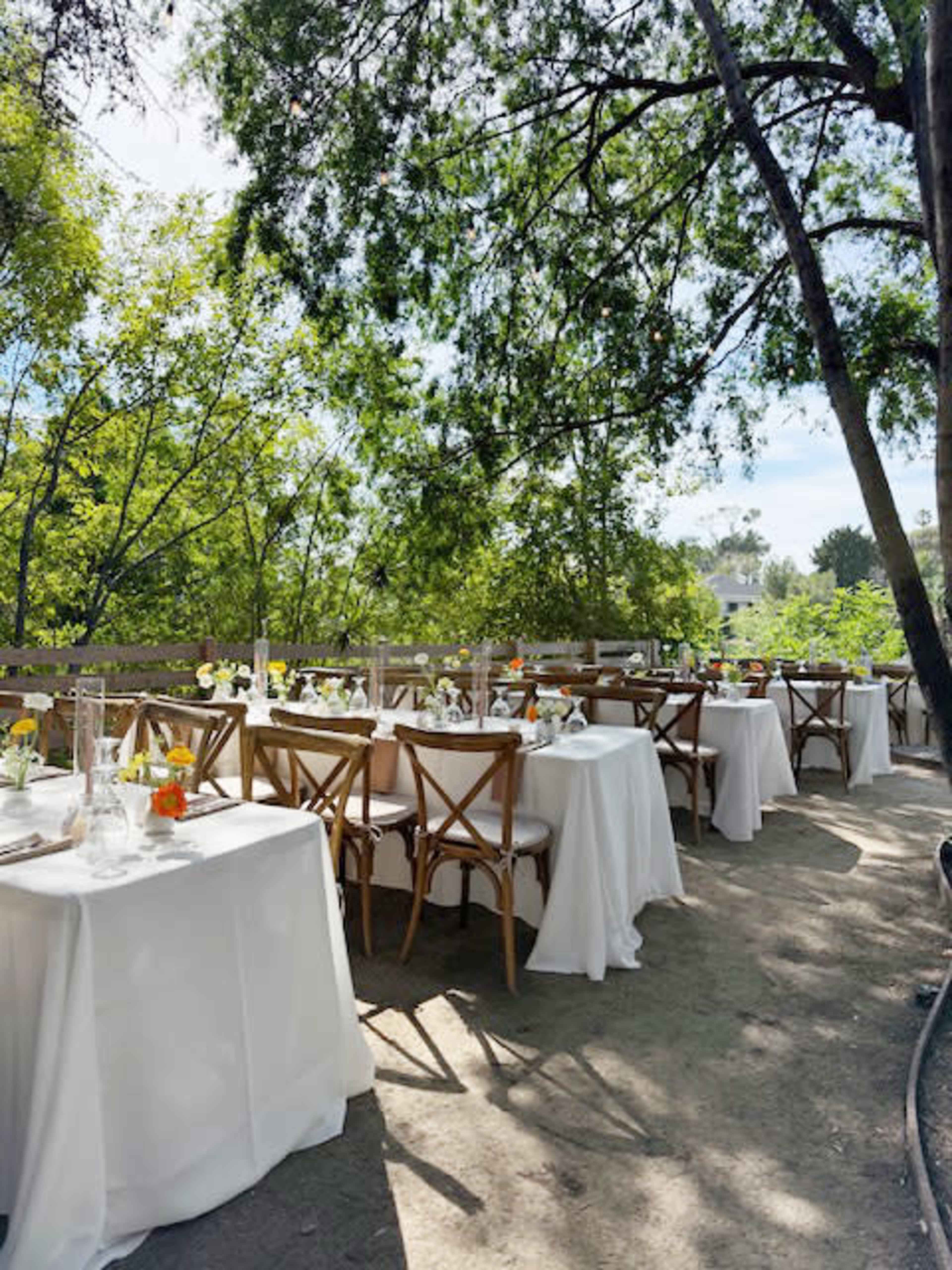 The outdoor dining area features several tables dressed in white tablecloths, surrounded by greenery and trees.