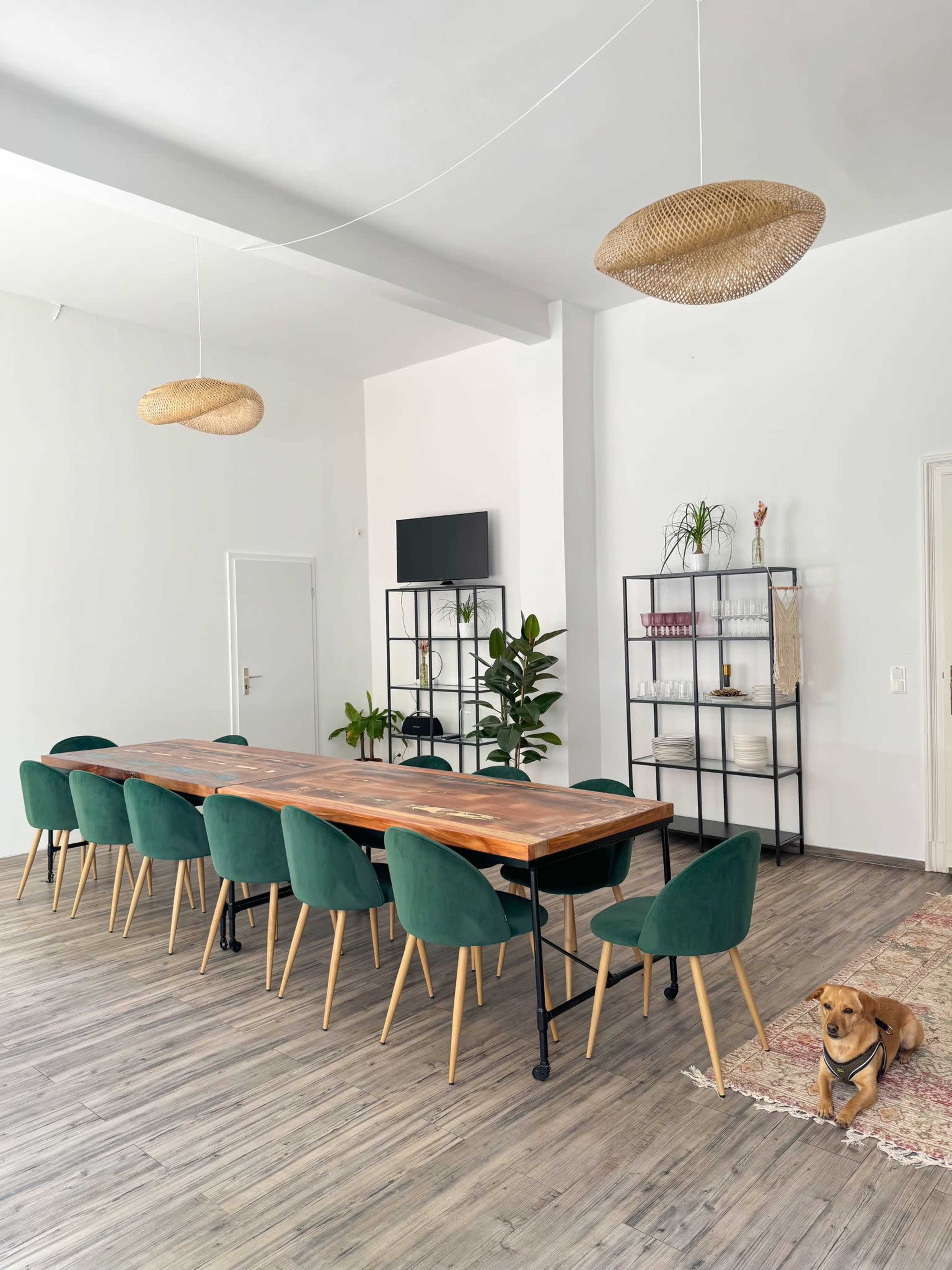 A long wooden dining table with green chairs is set under hanging light fixtures in a bright room, accompanied by a decorative shelf and a dog resting on the floor.