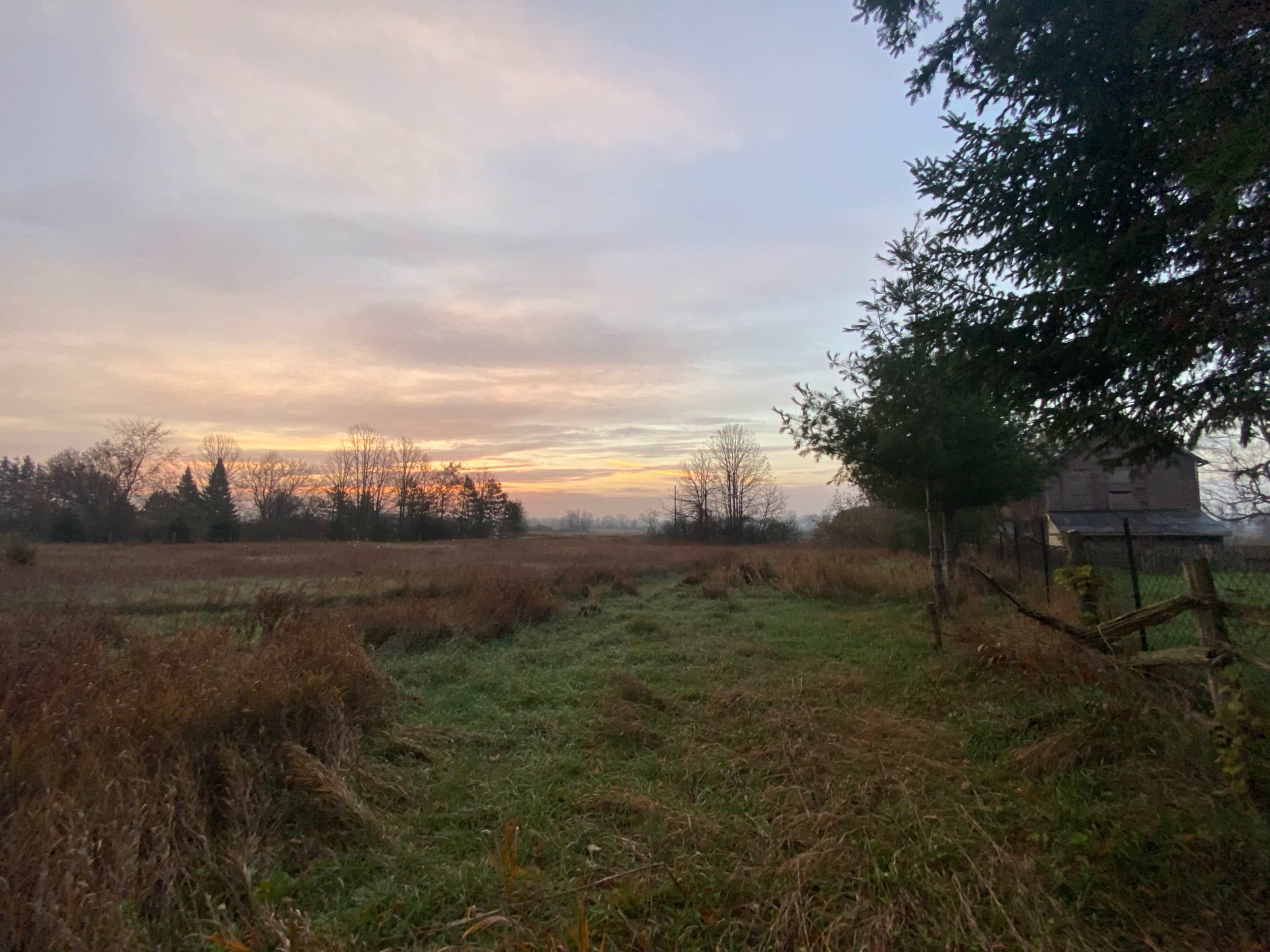 A path through tall grass leads to a farmstead at dawn, with trees and a wooden fence in the foreground.