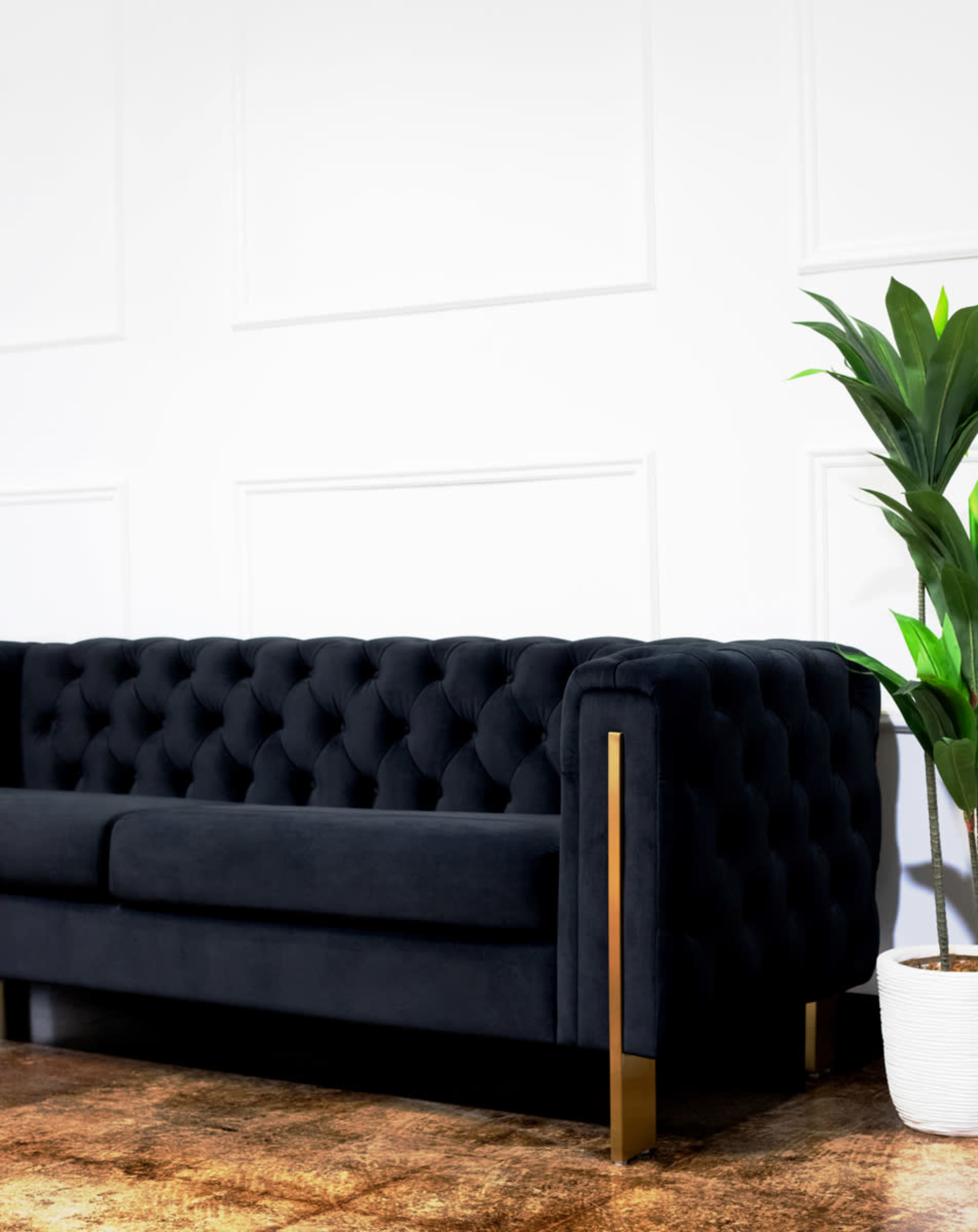 A black tufted sofa with gold legs is positioned beside a potted plant against a white wall.