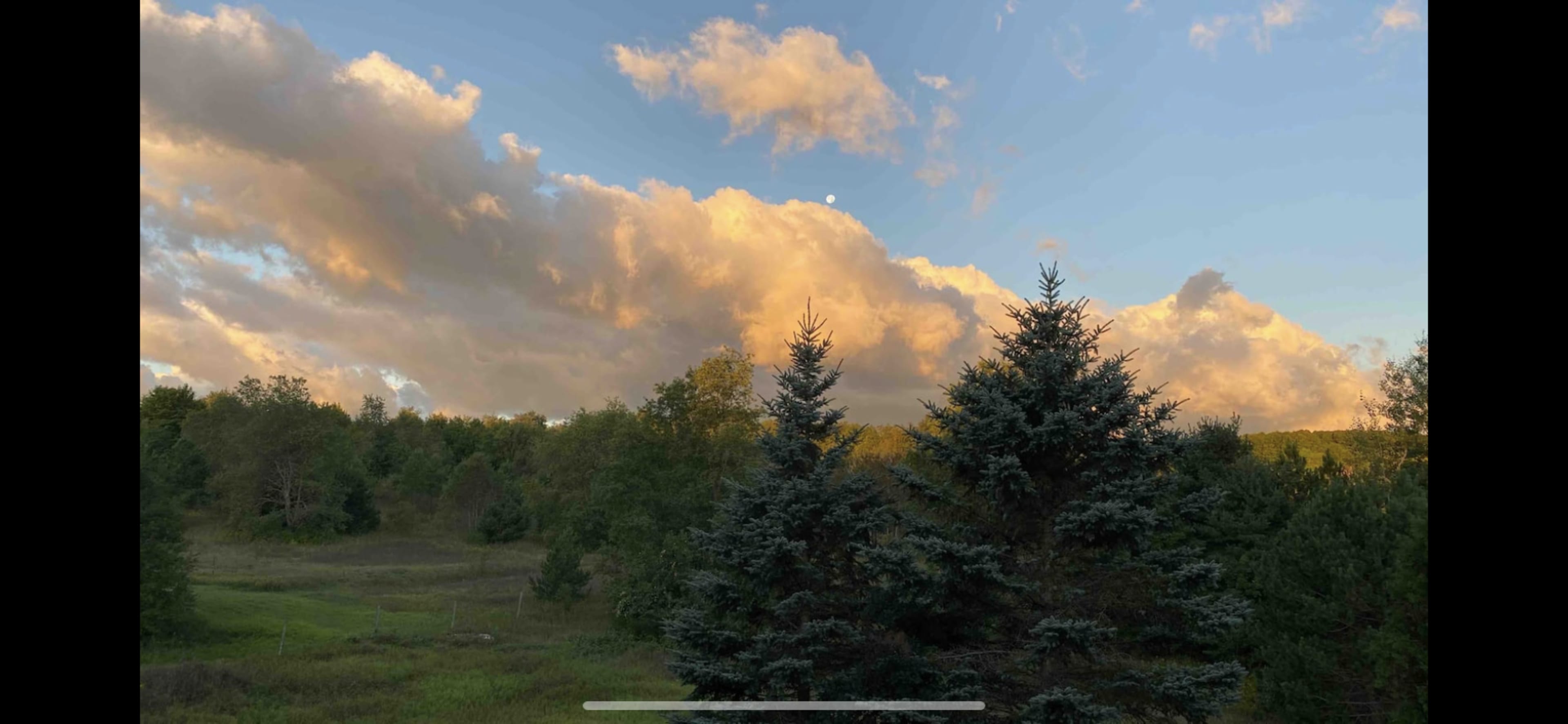 A landscape featuring green trees and a field with a backdrop of clouds illuminated by the setting sun.