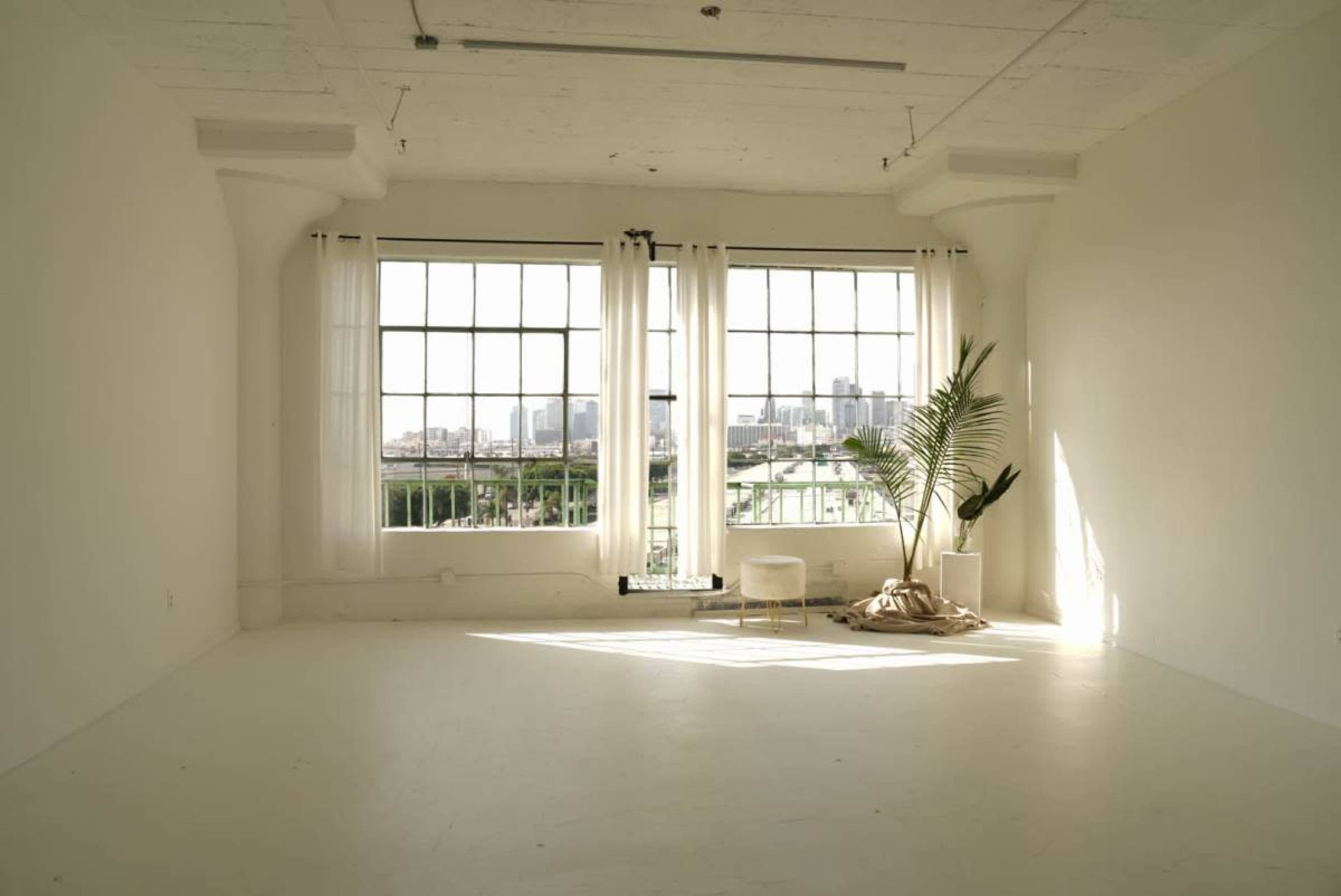 A bright, minimalistic room with large windows, sheer curtains, and a potted plant in the corner.