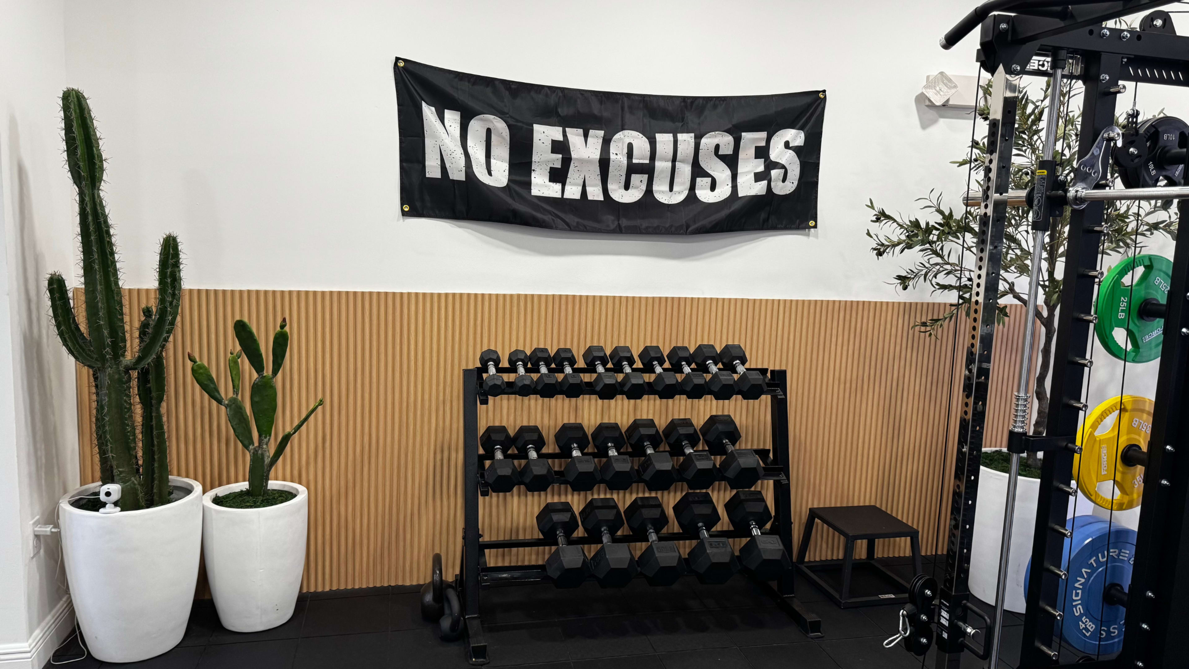 The image shows a modern fitness area featuring a rack of dumbbells, a "NO EXCUSES" banner, and potted plants, including a tall cactus.