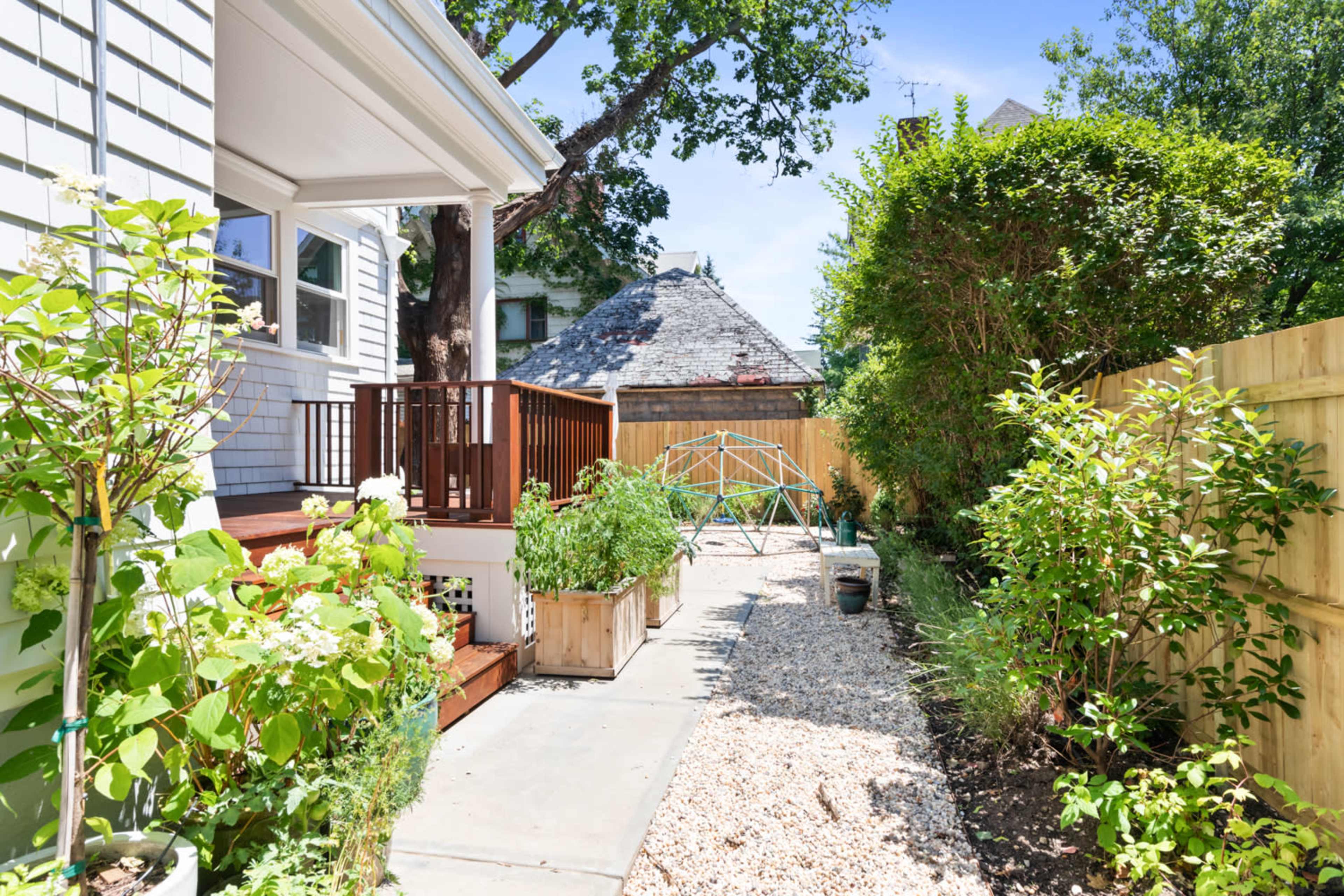 A narrow garden pathway lined with plants and wooden planters leads to a green structure in a backyard.