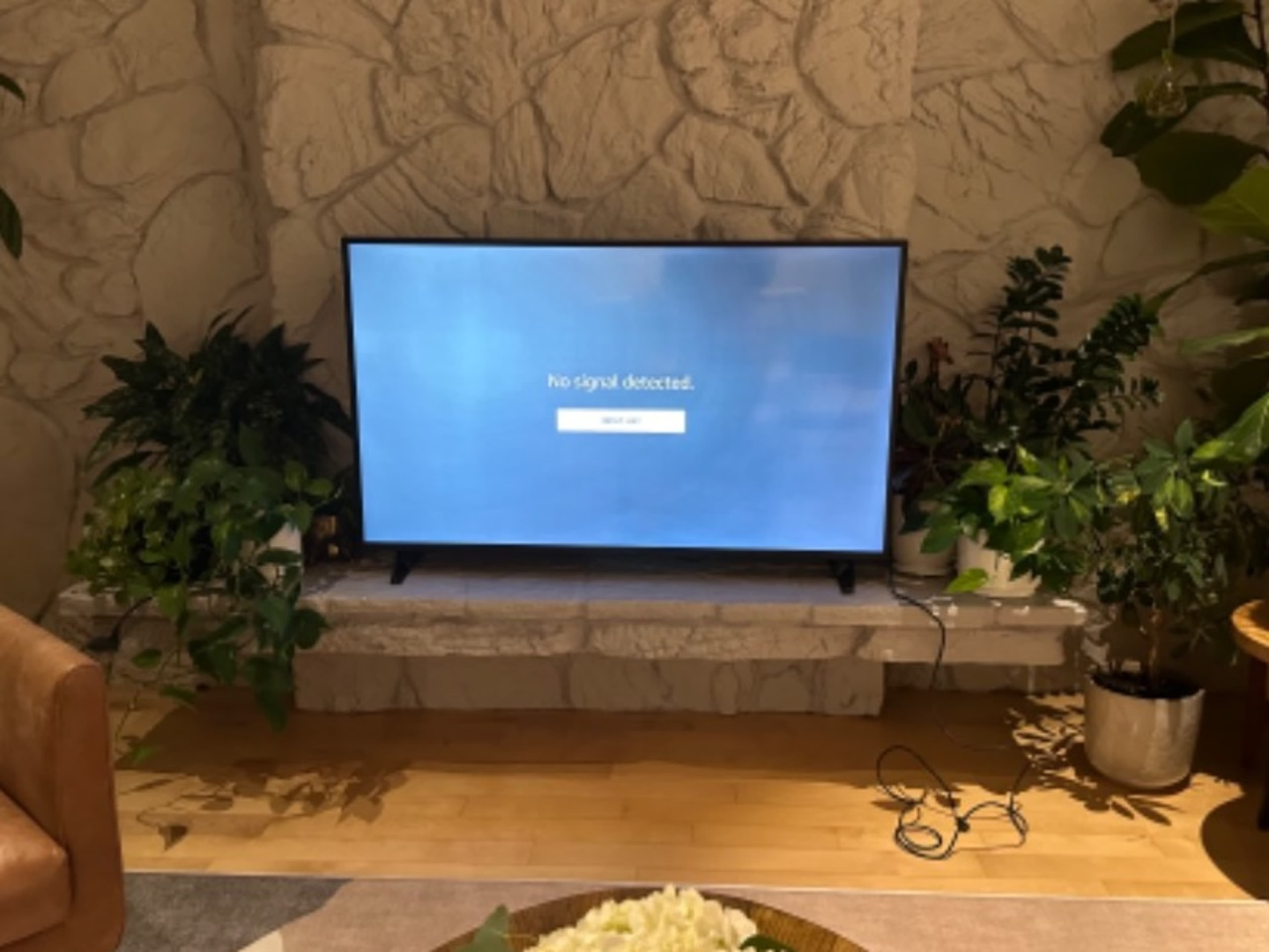 55"  4K TV /Monitor