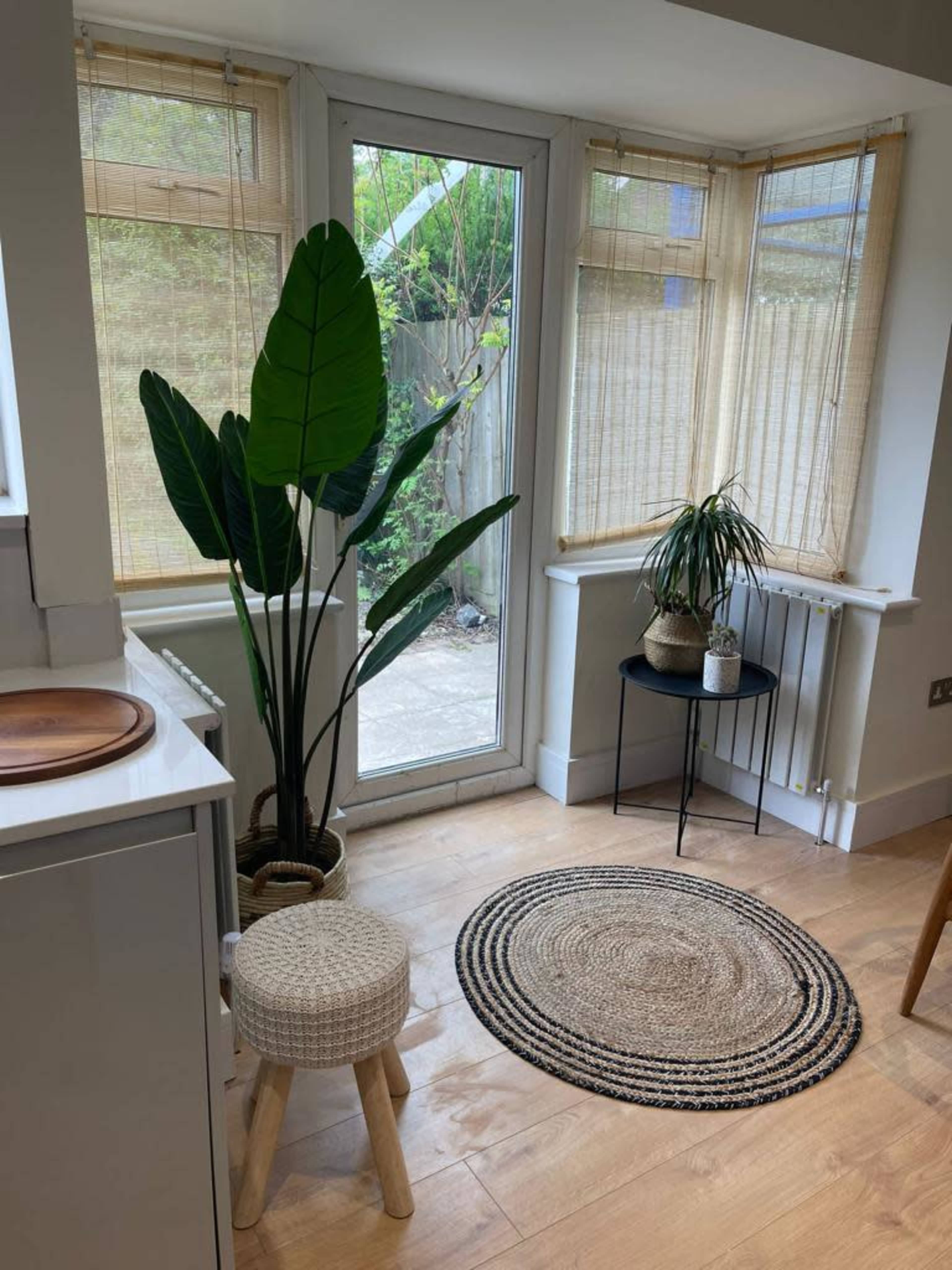 The image shows a bright corner of a room with a large potted plant, a smaller potted plant on a black side table, a woven stool, and a circular rug on the wooden floor near a set of glass doors.