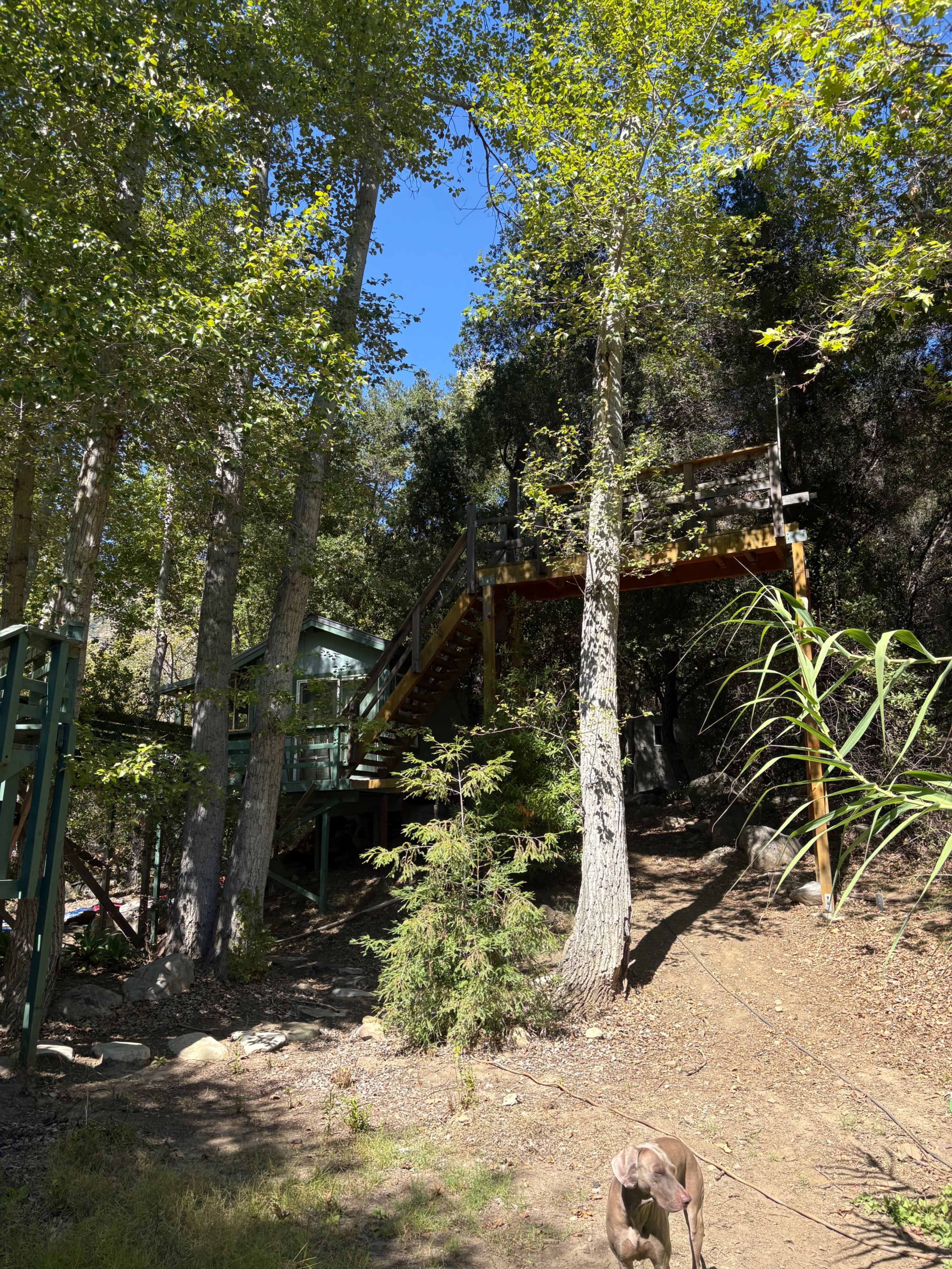 Rustic Forest Hideaway with Untamed Mountain Vibes Image in , Ojai, CA