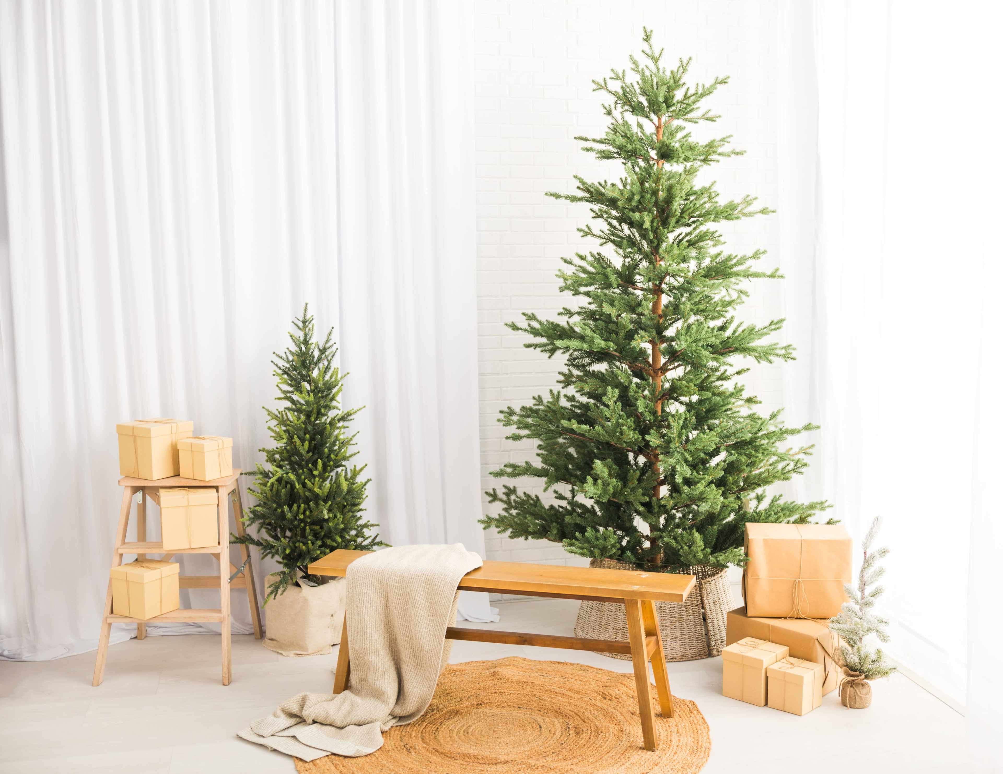 A cozy indoor scene features two artificial Christmas trees, a wooden bench covered with a blanket, and neatly stacked boxes beside a round rug.