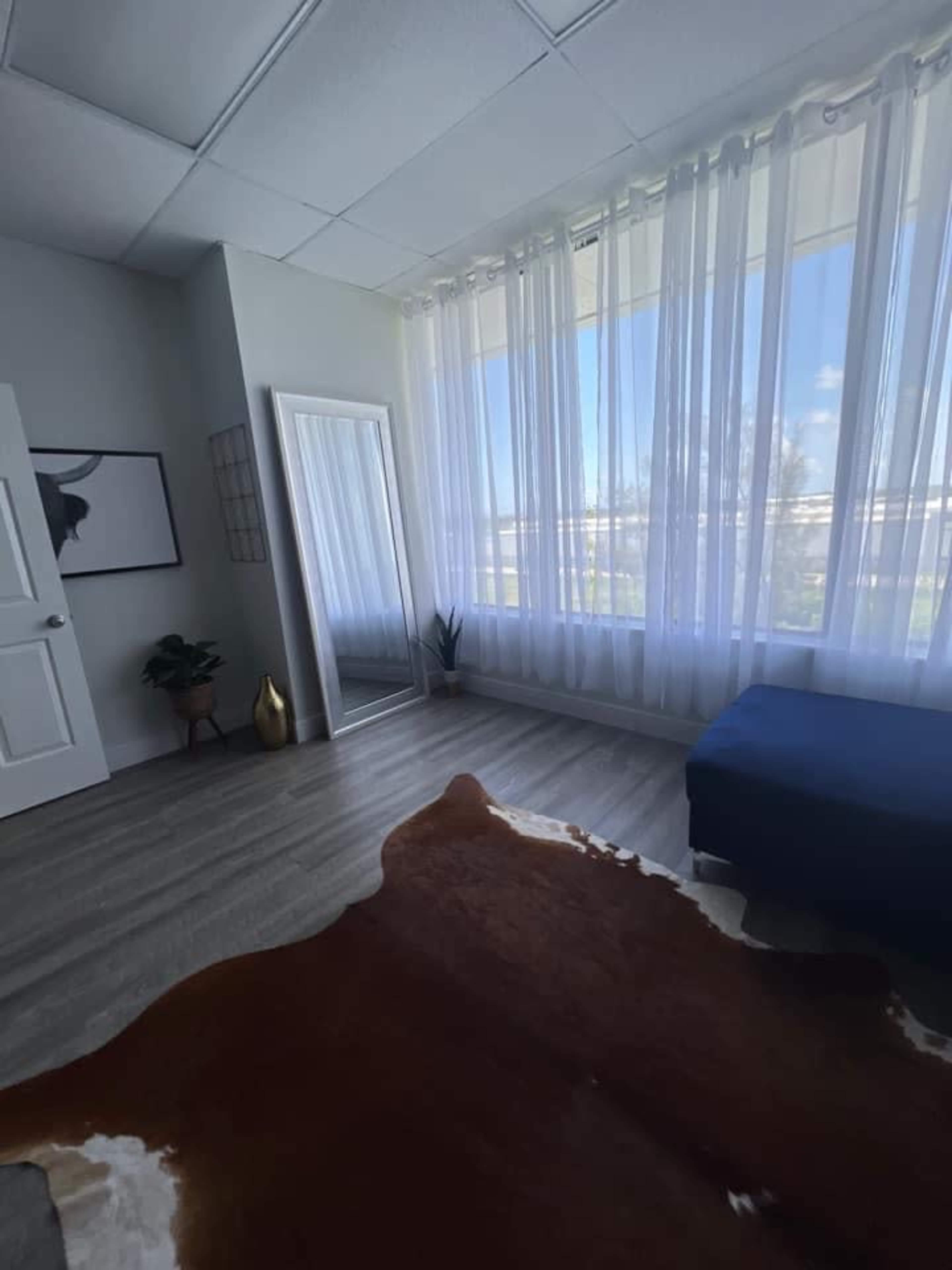 A sunlit room features a large window with sheer curtains, a mirror, a plant, and a blue couch over a cowhide rug.