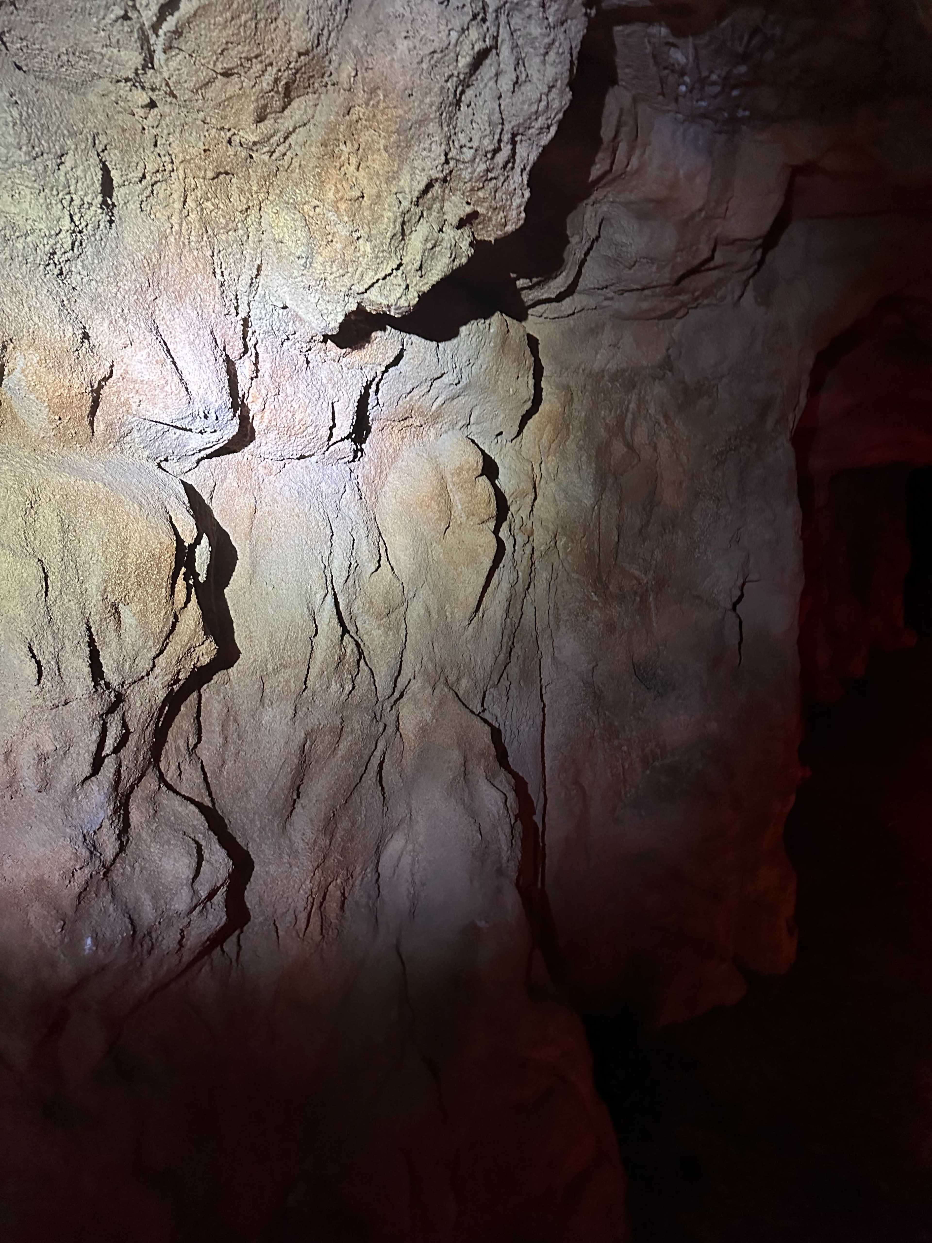 A rocky cave wall illuminated by a faint light, revealing the texture and formations of the stone.