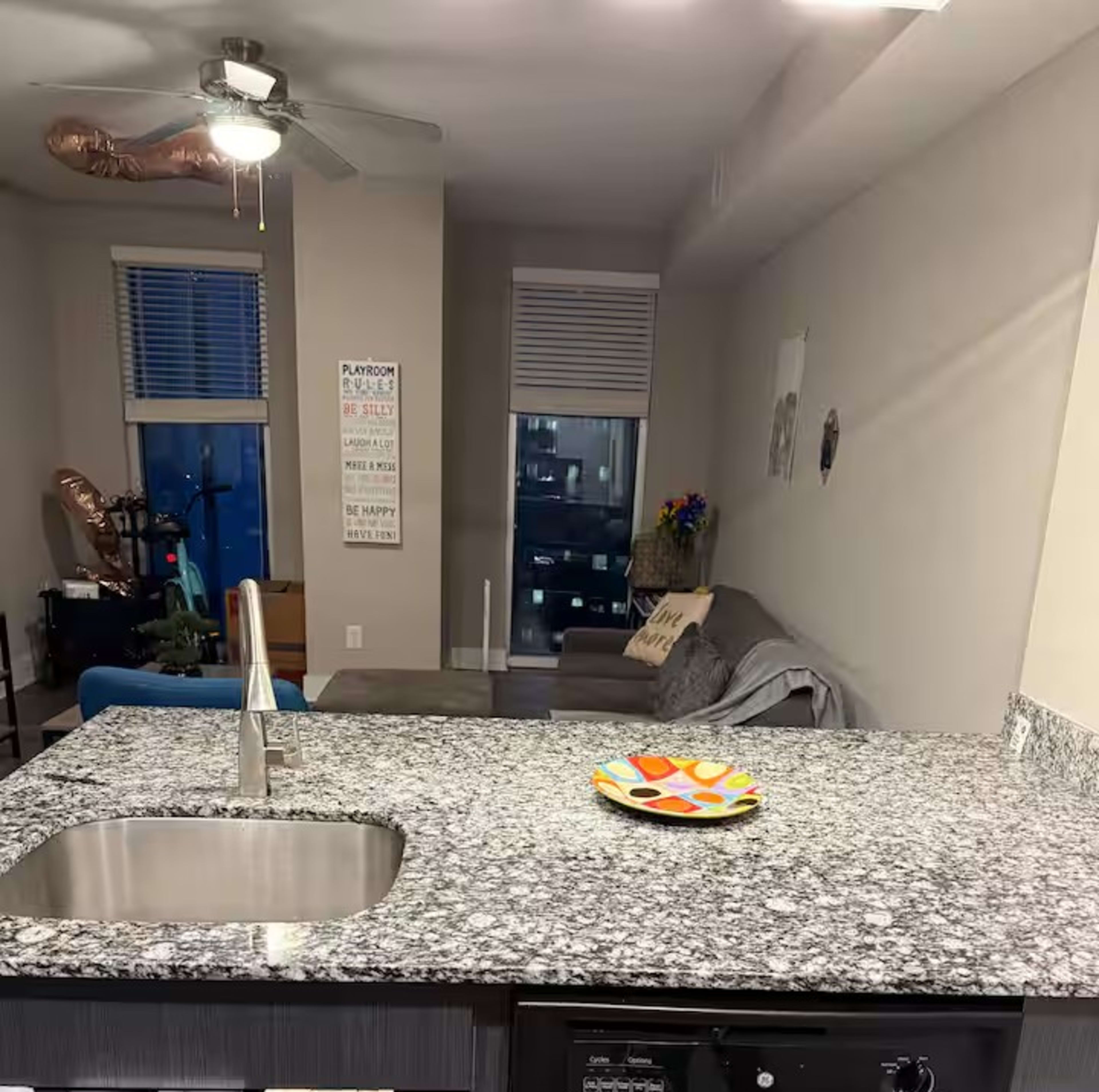 The image shows a modern kitchen with a granite countertop, a sink, and a plate of food, overlooking a living area with a couch and a window in the background.