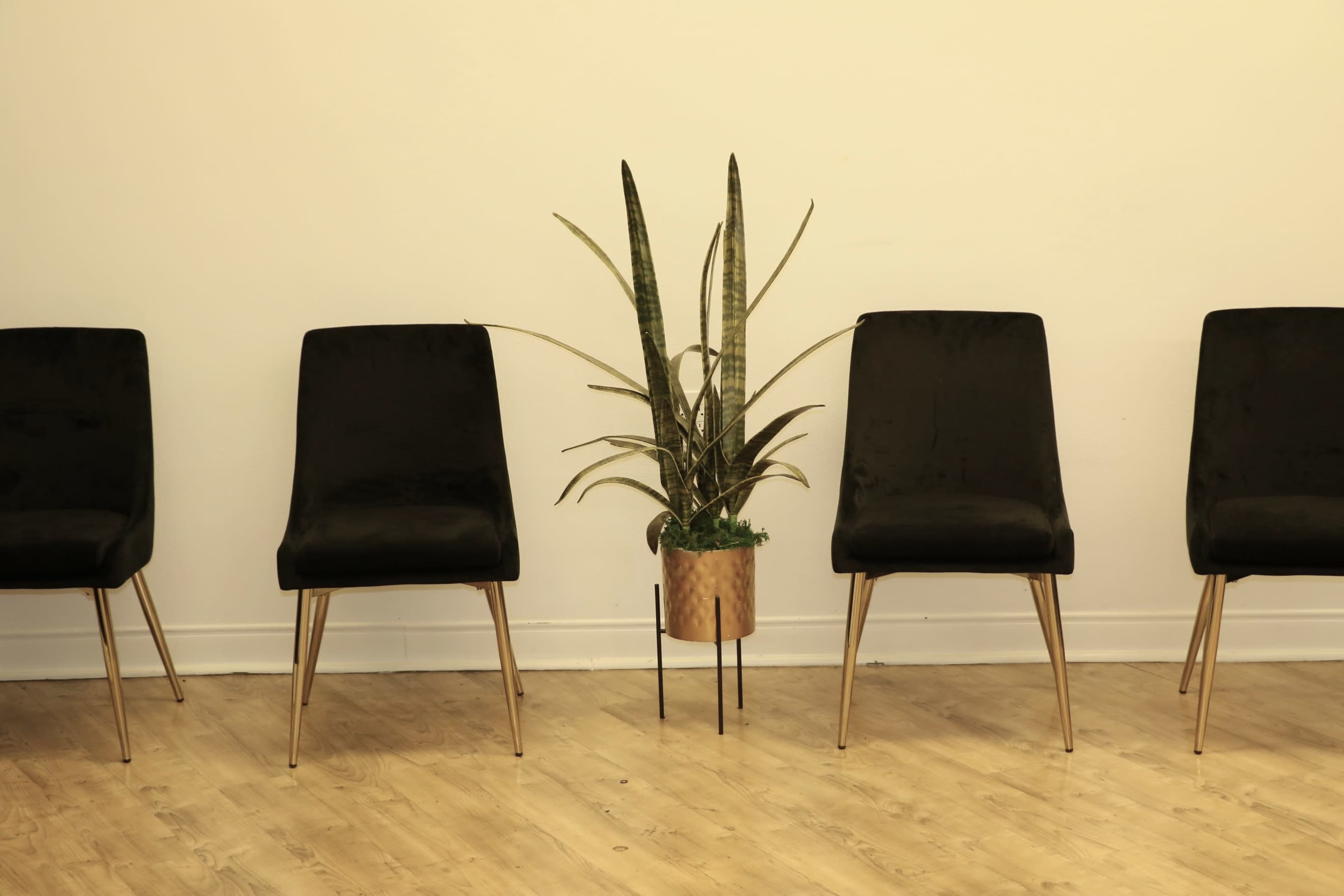 Busy Storefront Event Space Image in , Spring, TX