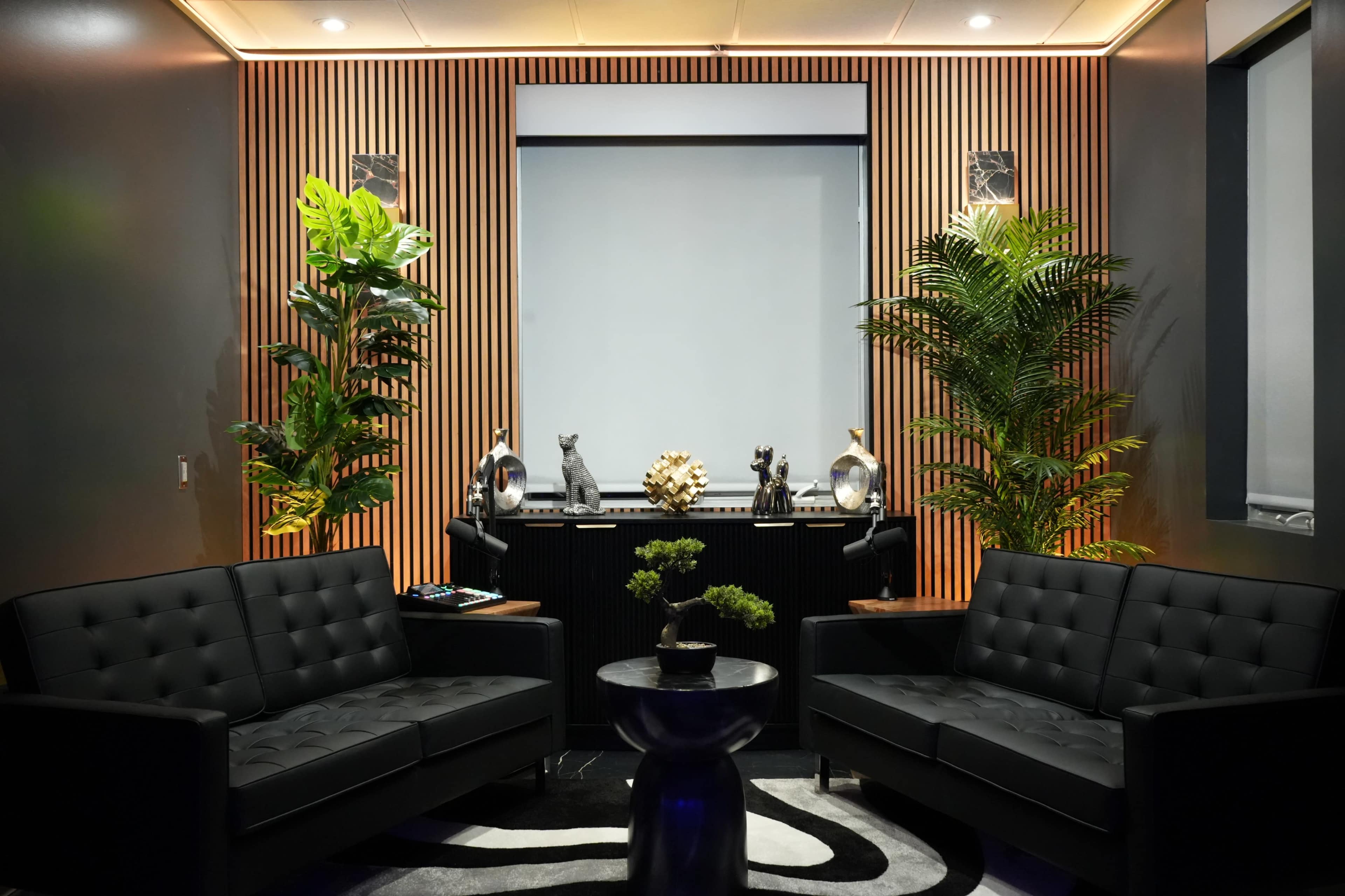 Luxe Lounge Video Podcast Studio Image in Potomac Falls, Sterling, VA