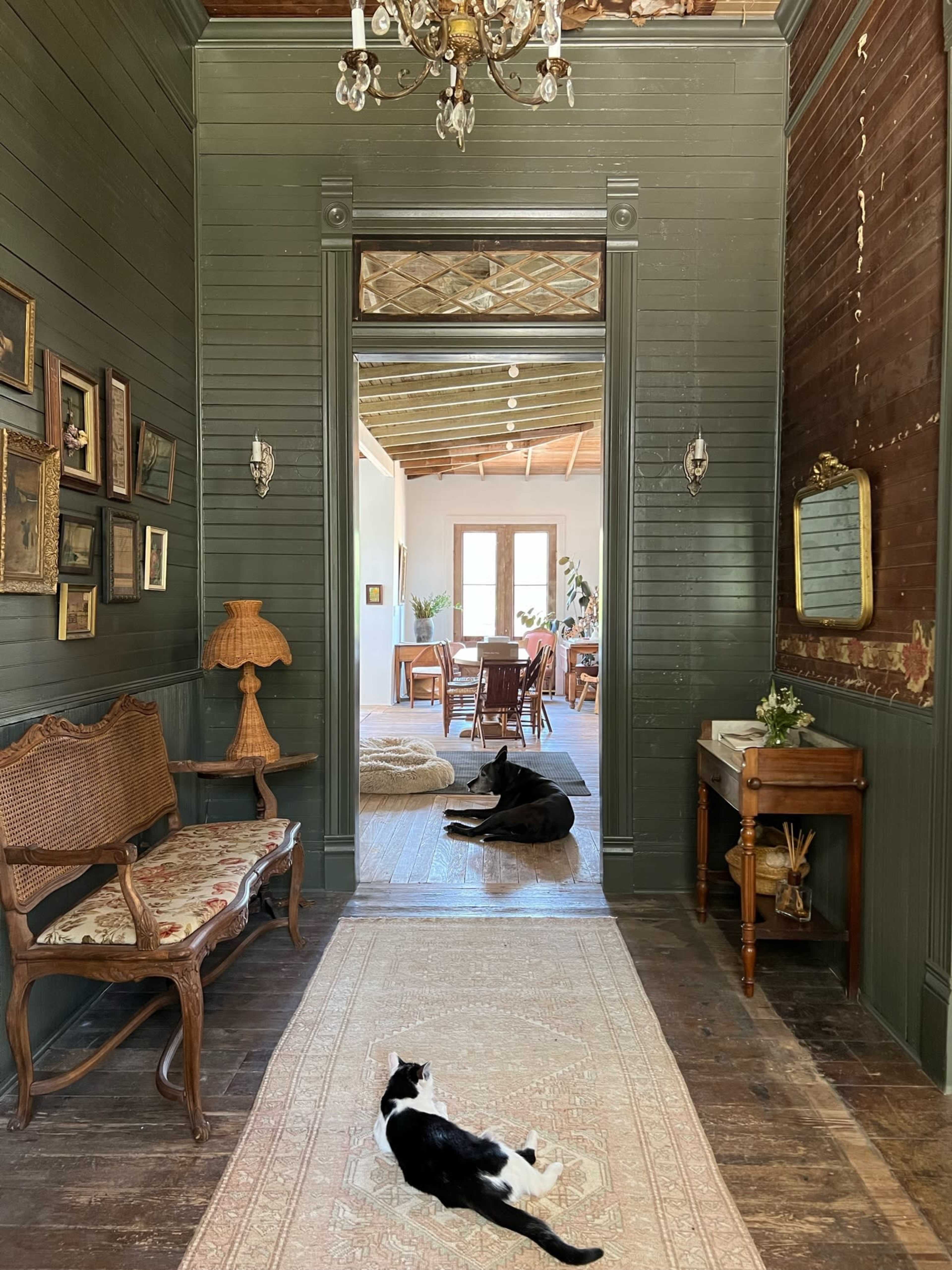 A dark green hallway features an antique bench and two cats lounging on a rug, with a dining area visible in the background.