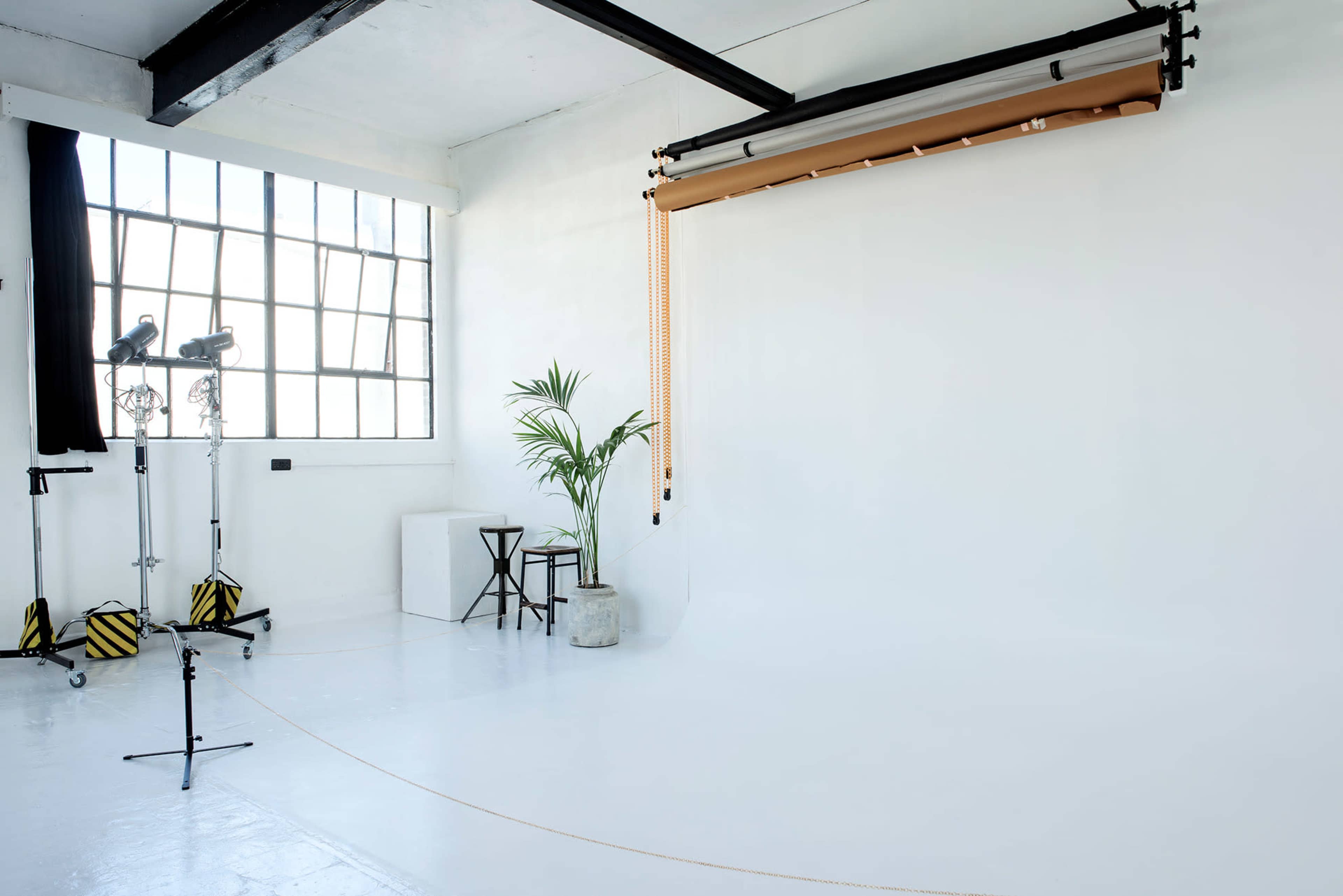 A bright photography studio with a large window, a blank backdrop, and lighting equipment set up beside a potted plant.
