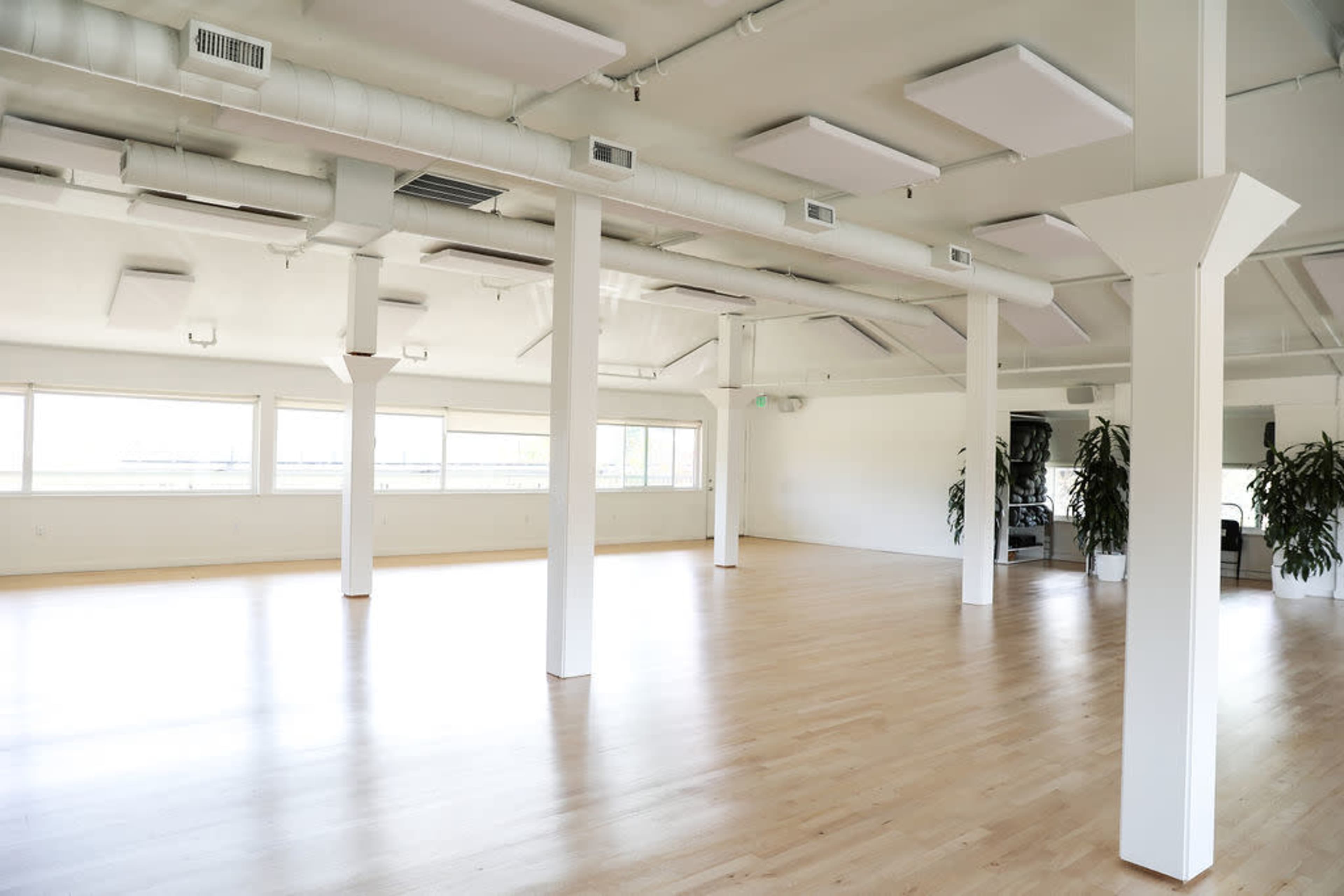 A spacious, empty room with hardwood floors, white walls, and large windows, featuring several support columns and two potted plants.