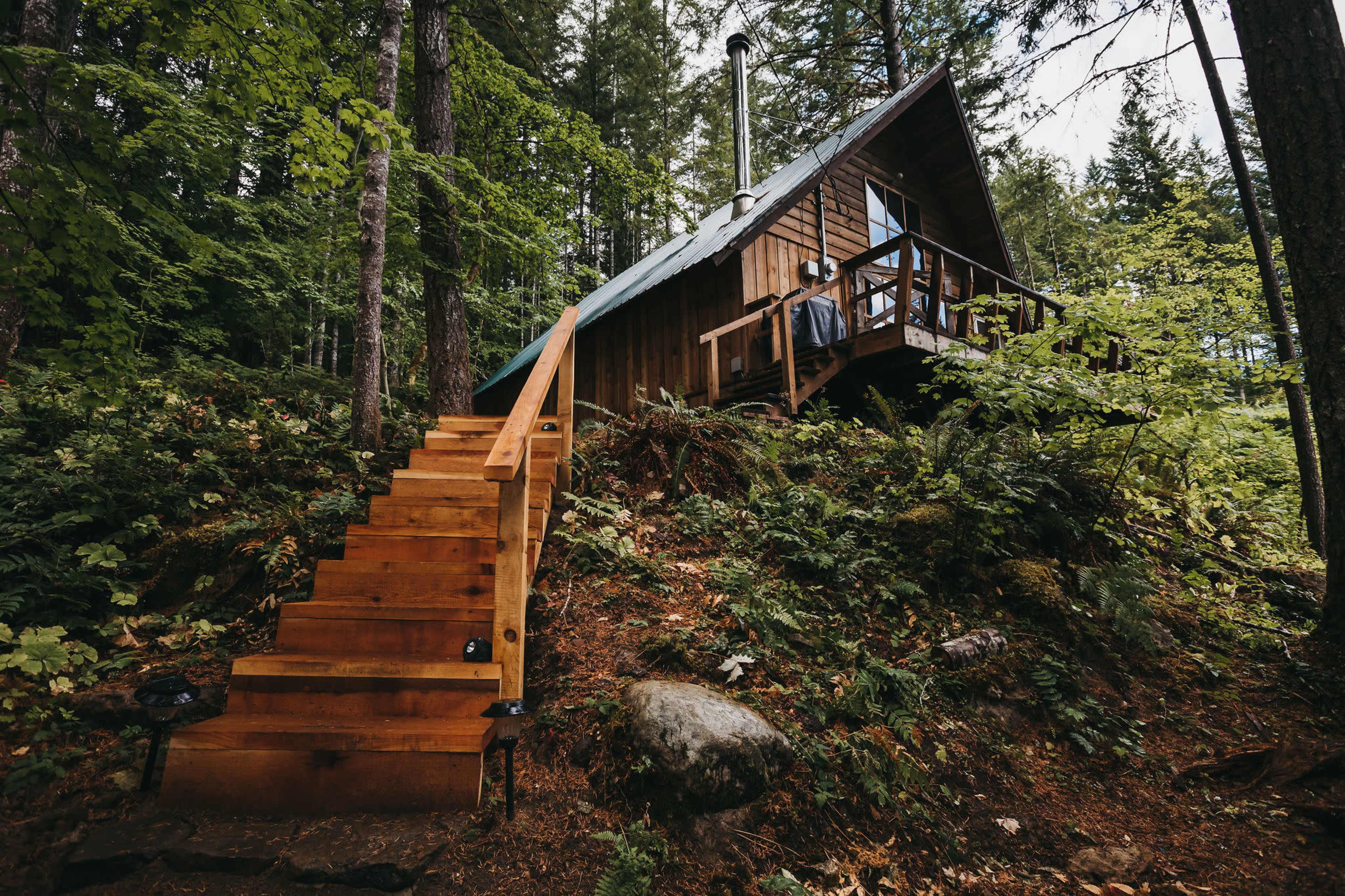 A wooden cabin with a sloped roof is situated on a hillside, accessed by a set of wooden stairs surrounded by trees and ferns.