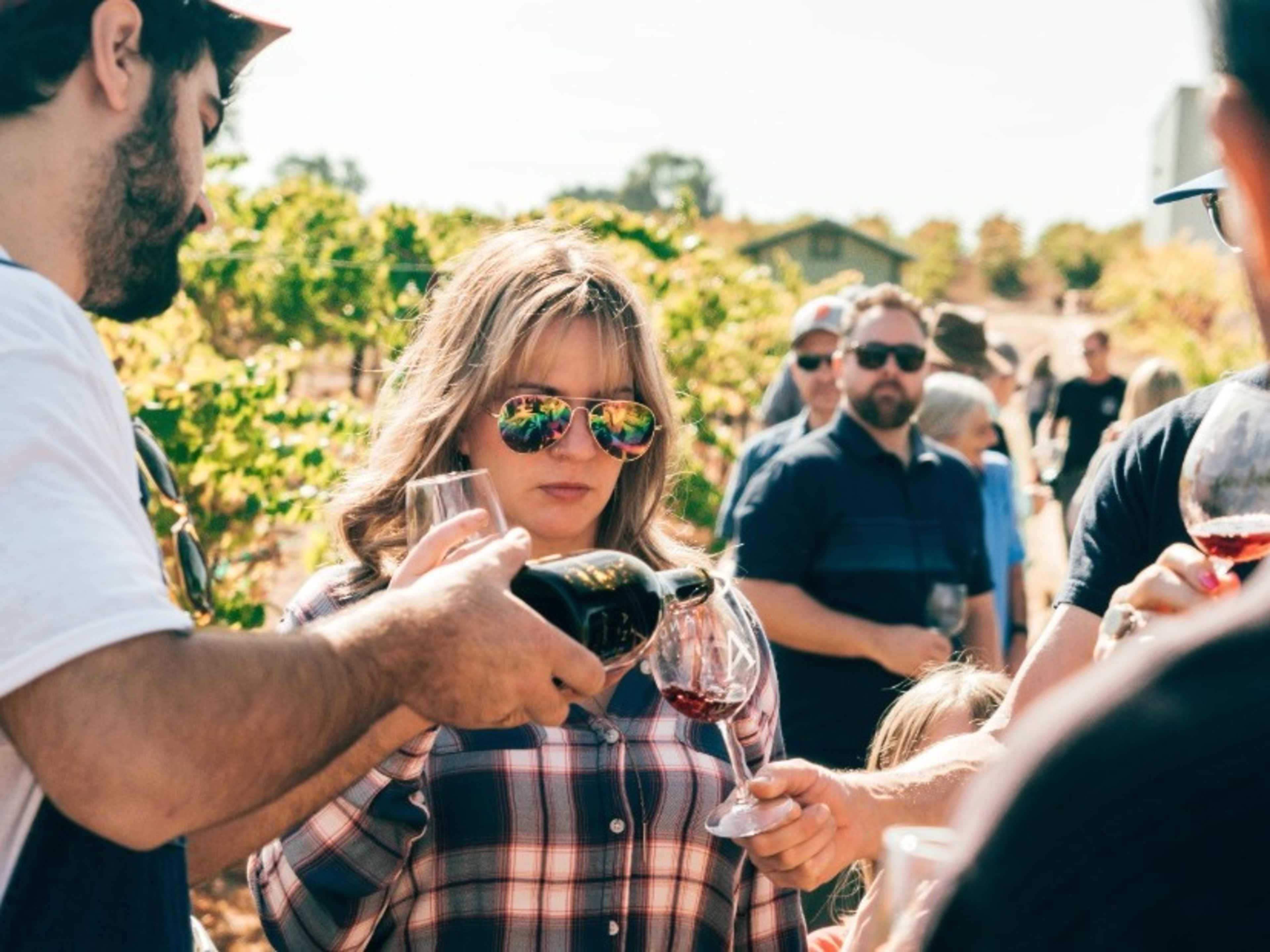 Vineyard Tour and Tasting