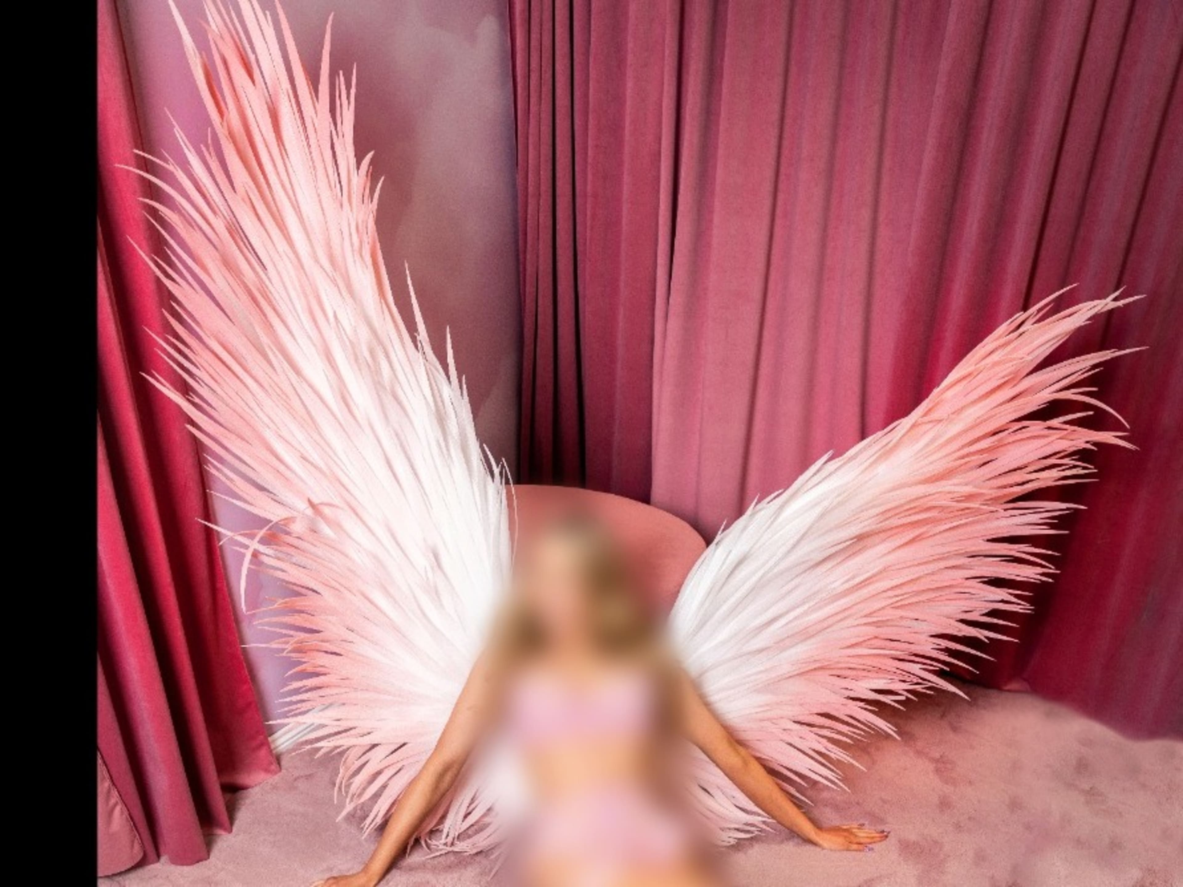 Large pink/white angel wings