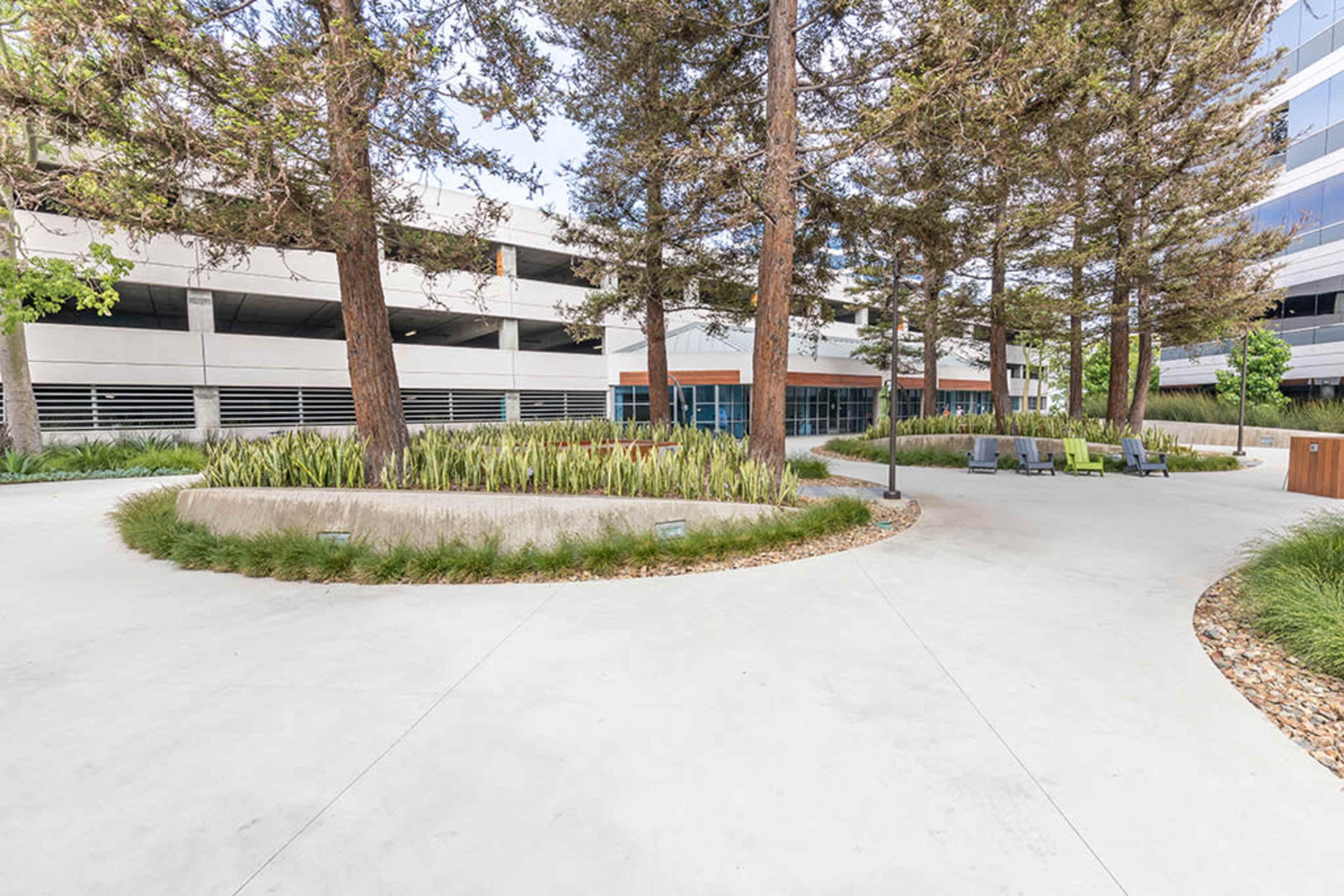 A landscaped area with a curved concrete pathway, surrounded by trees and low vegetation, leading to a modern building with large windows.