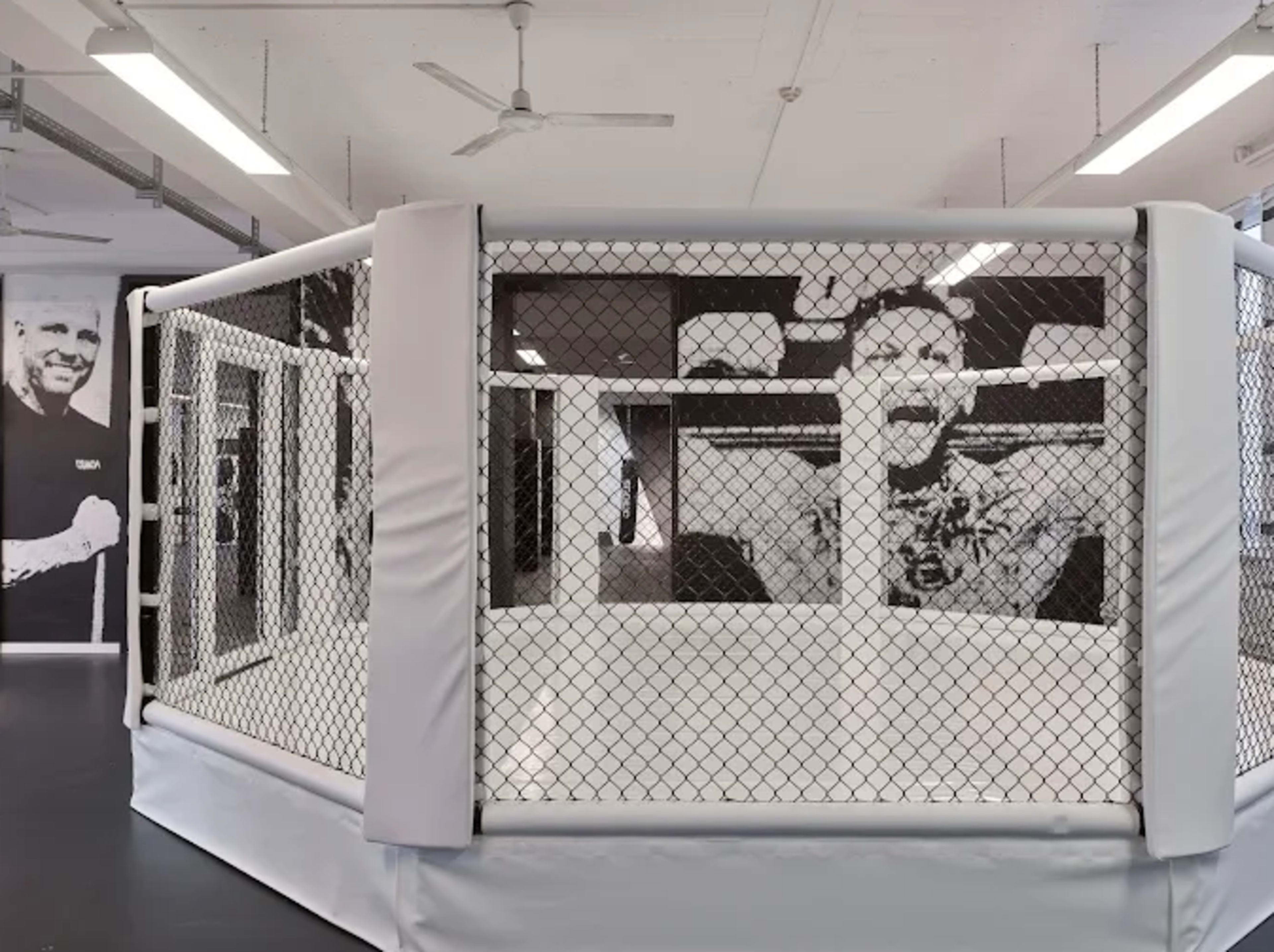 The image shows an empty mixed martial arts octagon surrounded by a chain-link fence, set in a training facility with large black-and-white wall murals.
